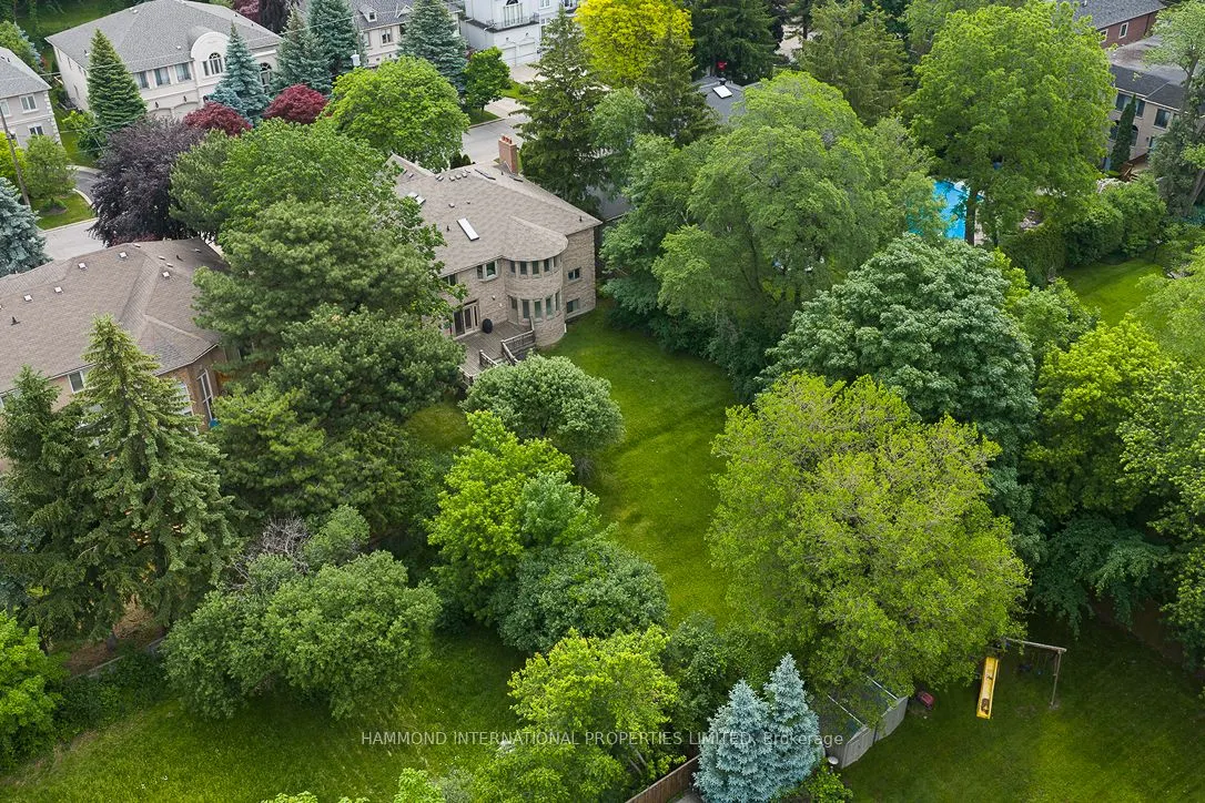 46 Steeplechase Avenue
