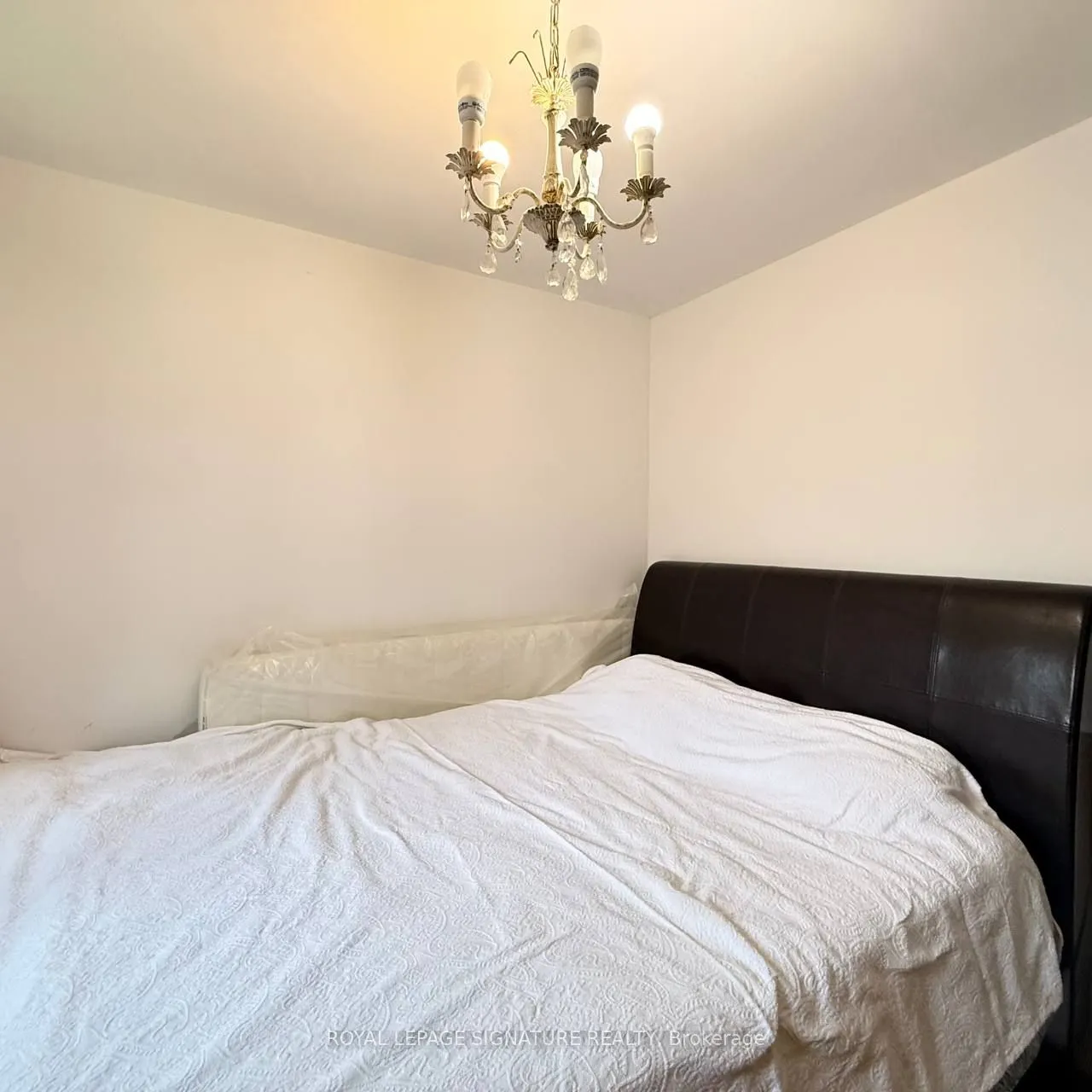 117 Romfield Circuit