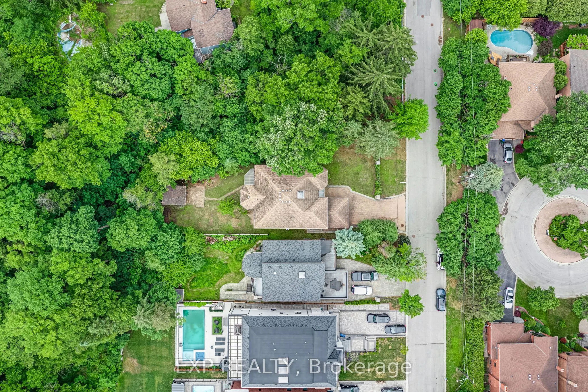 99 Birch Avenue