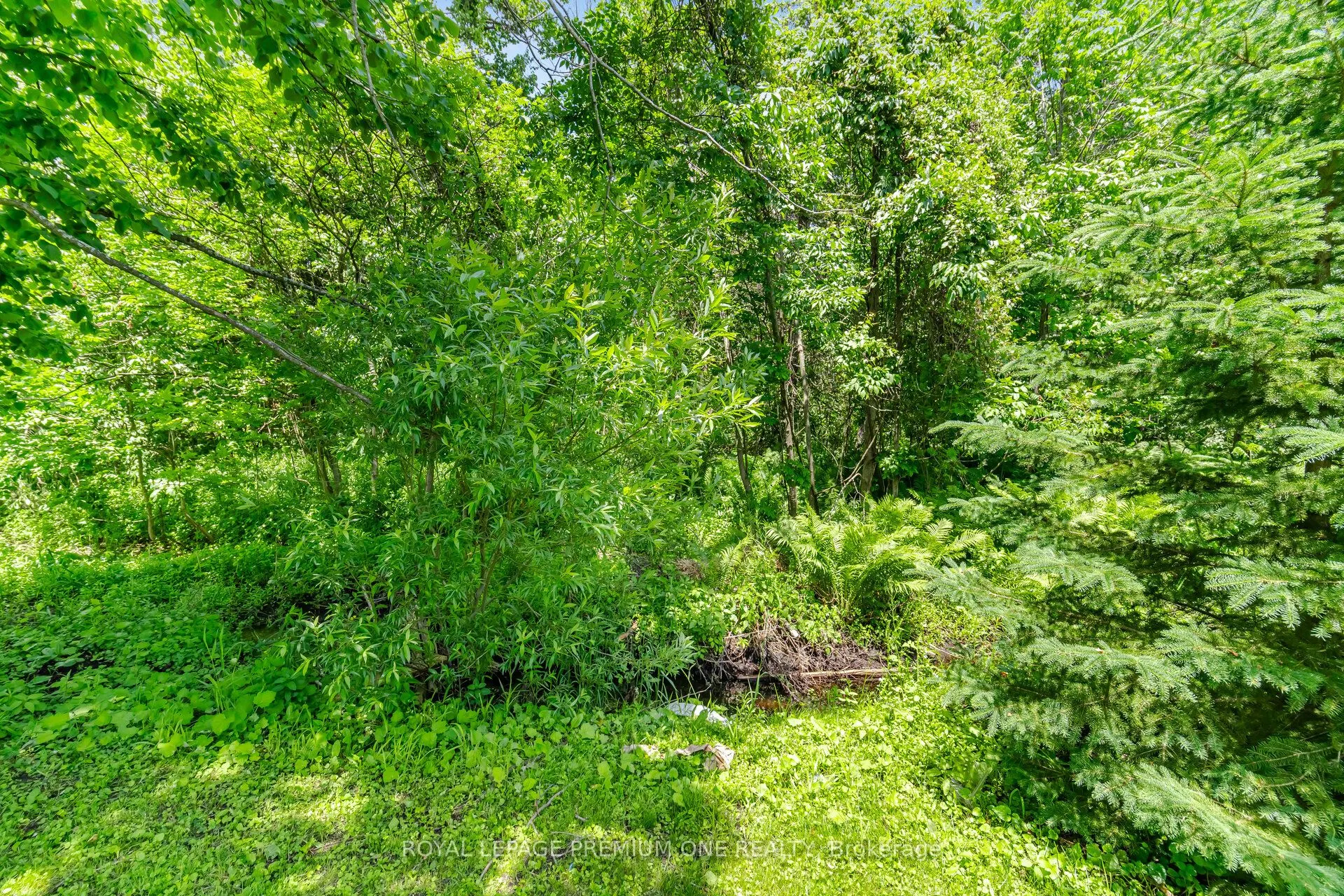 710 Rose Lane