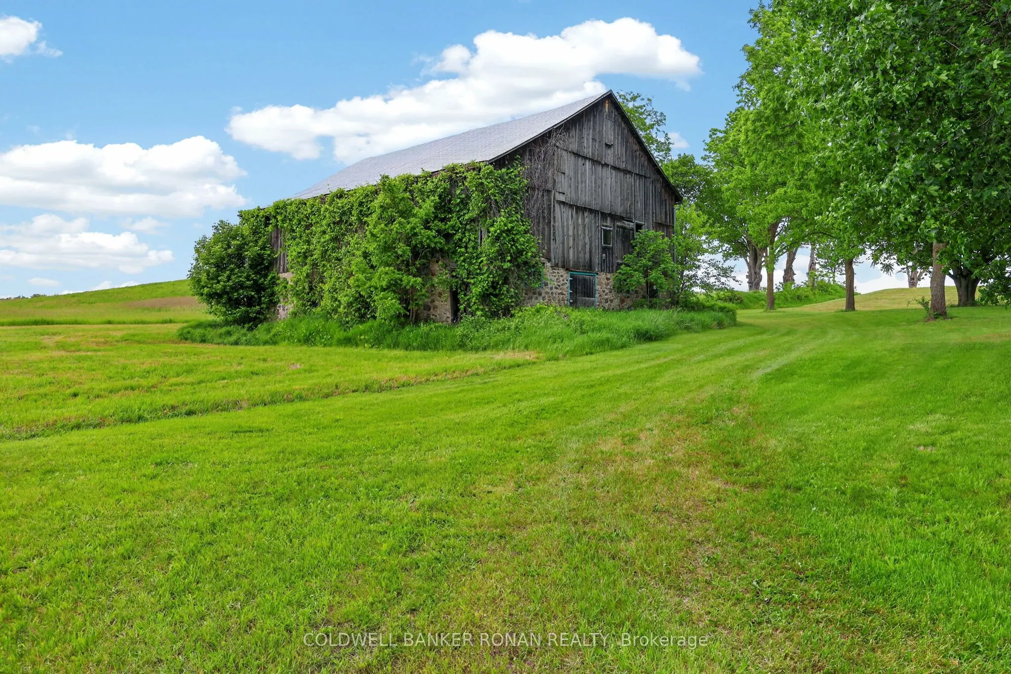 2362 Concession Rd 2