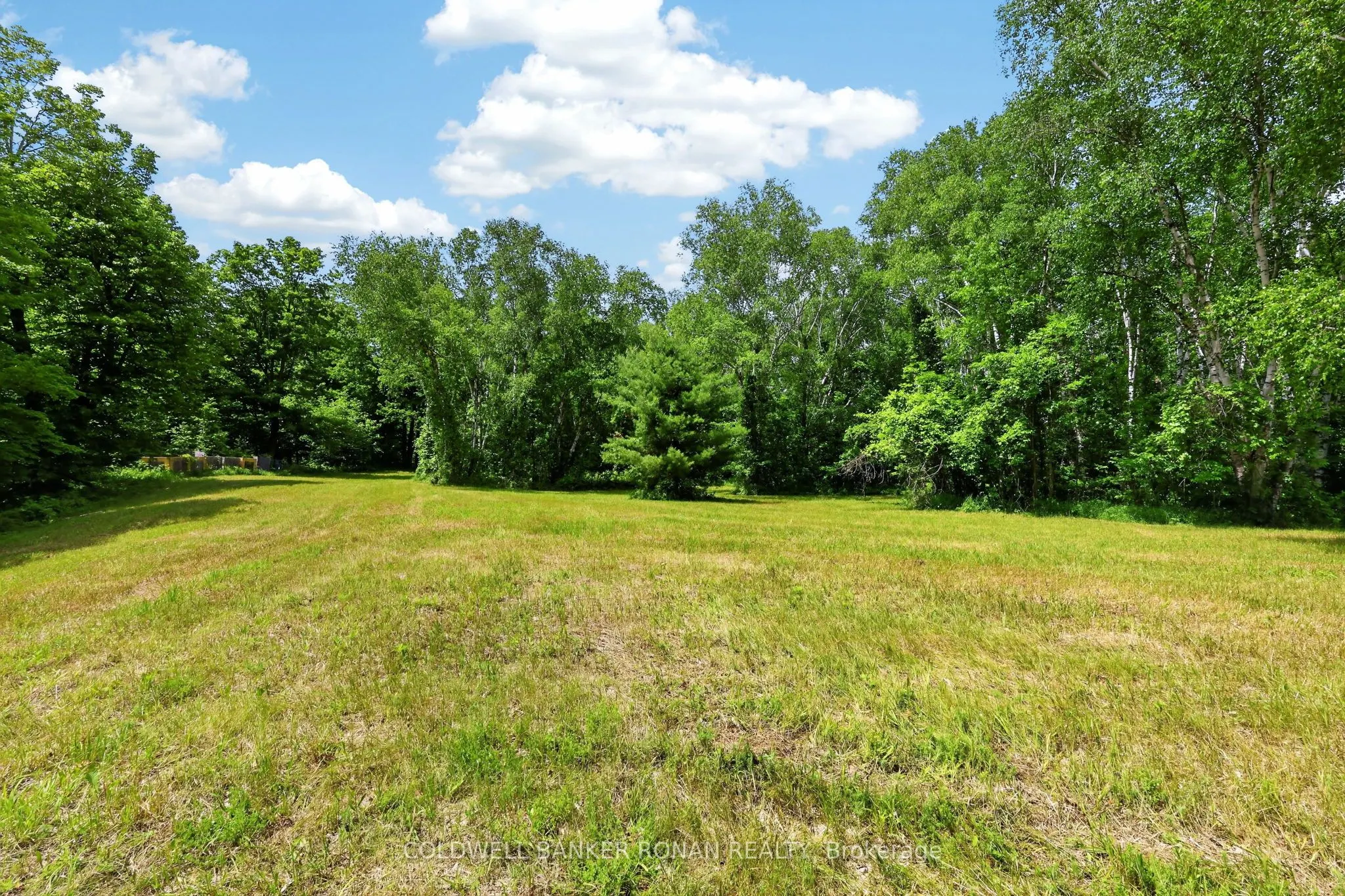 2362 Concession Rd 2