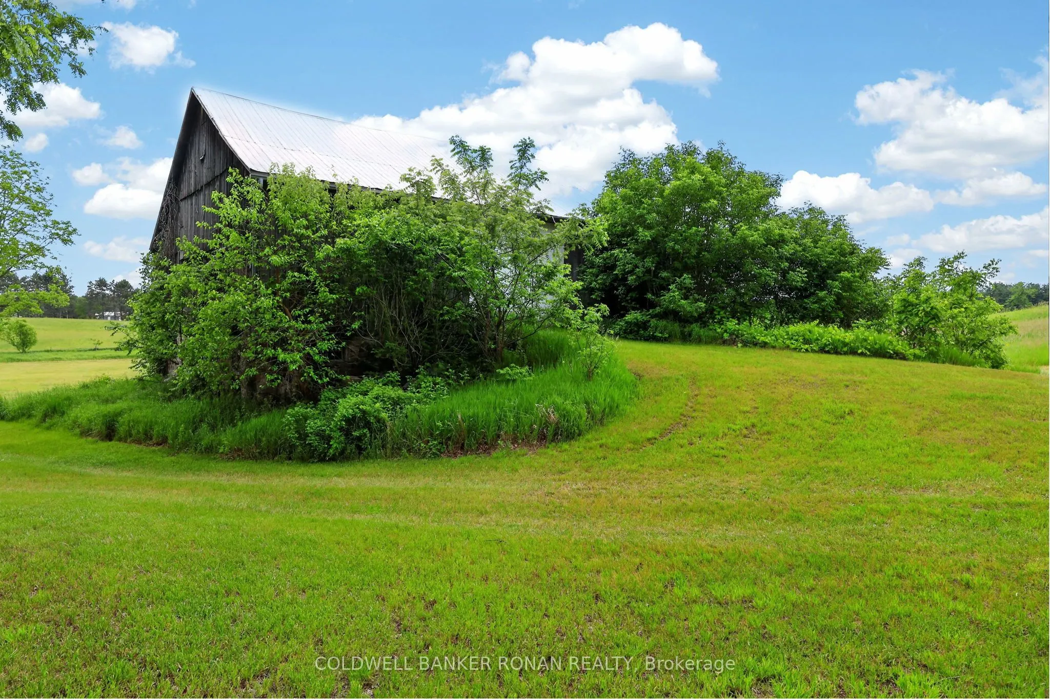 2362 Concession Rd 2