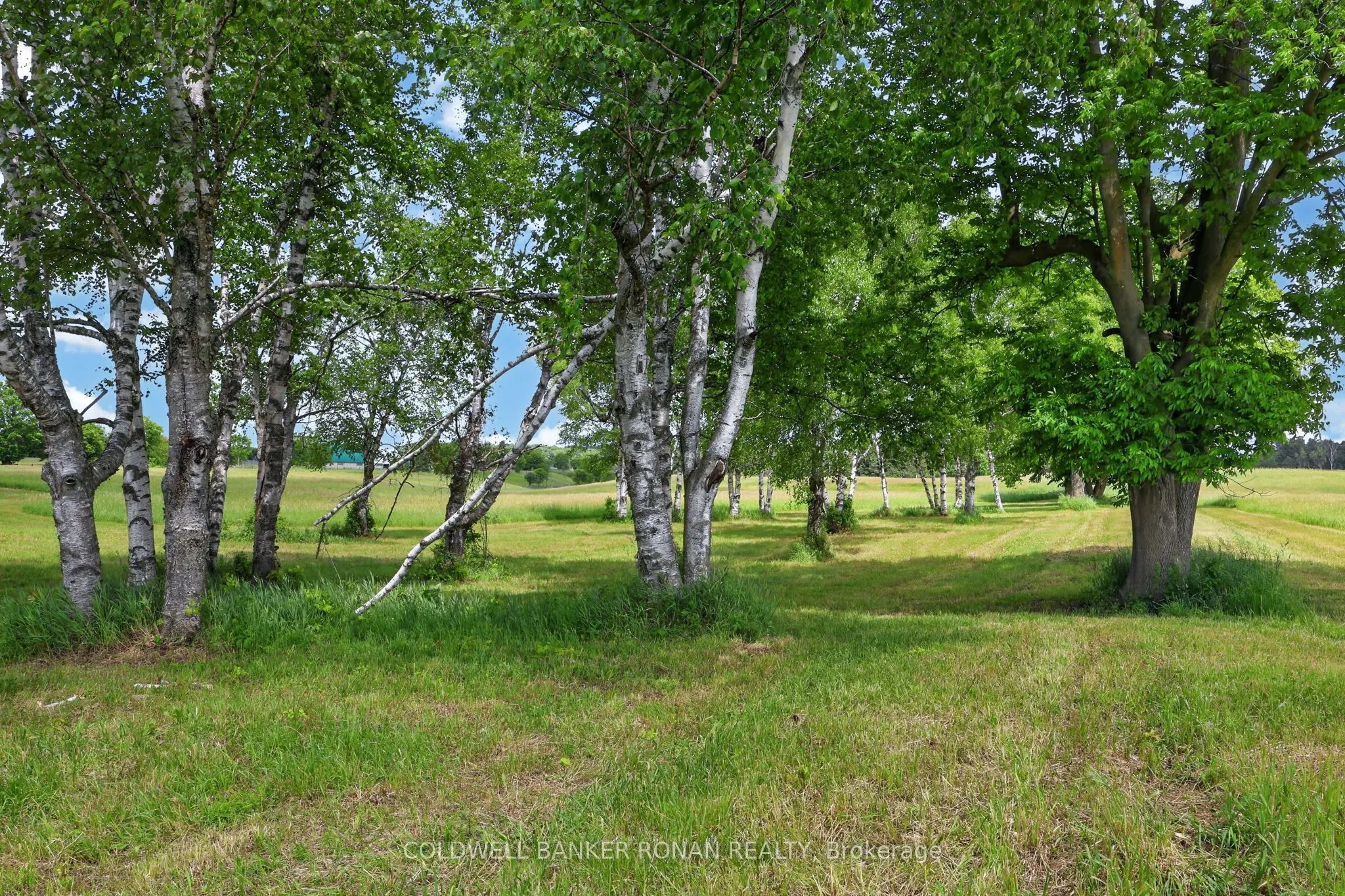 2362 Concession Rd 2