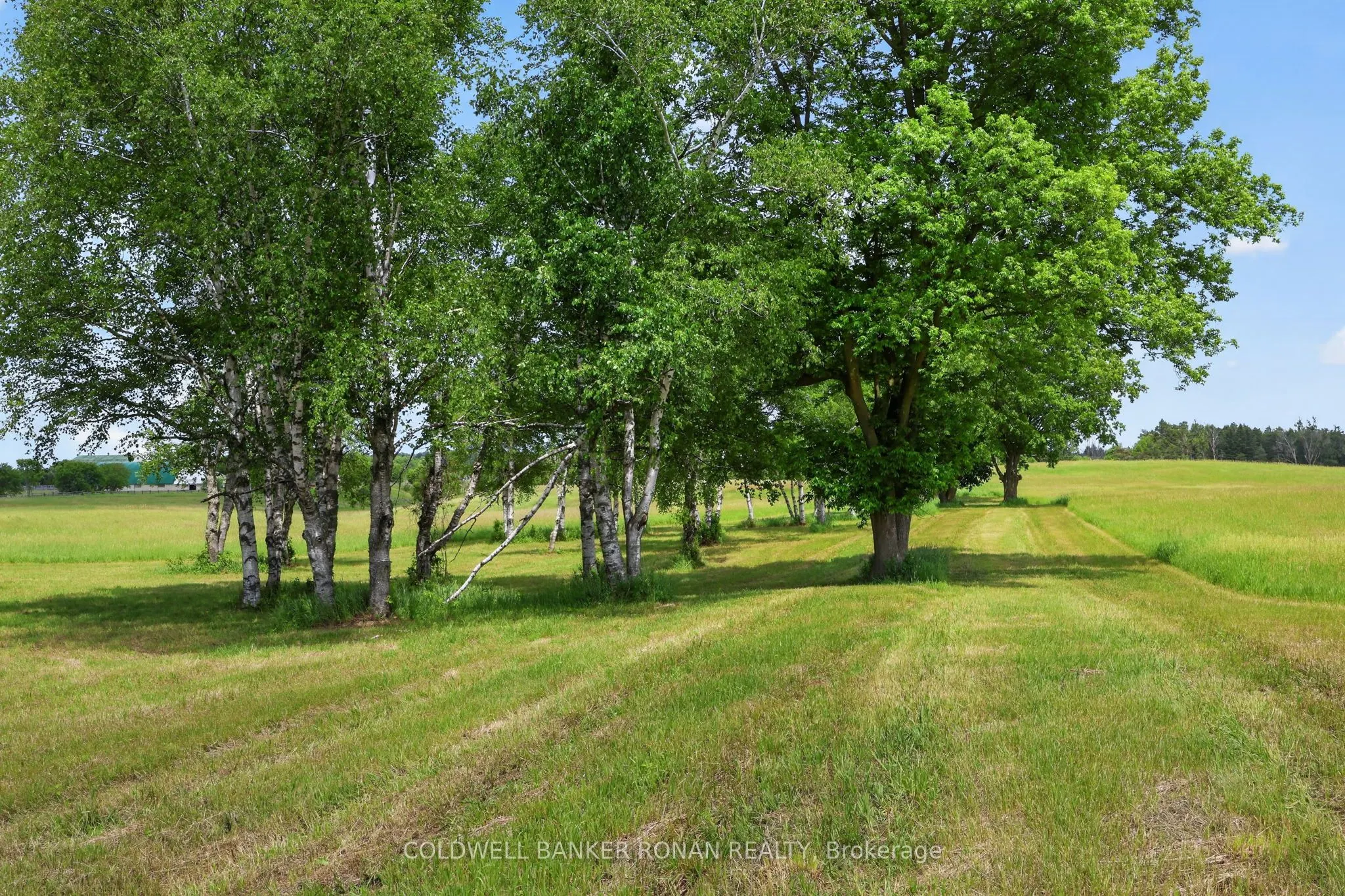 2362 Concession Rd 2