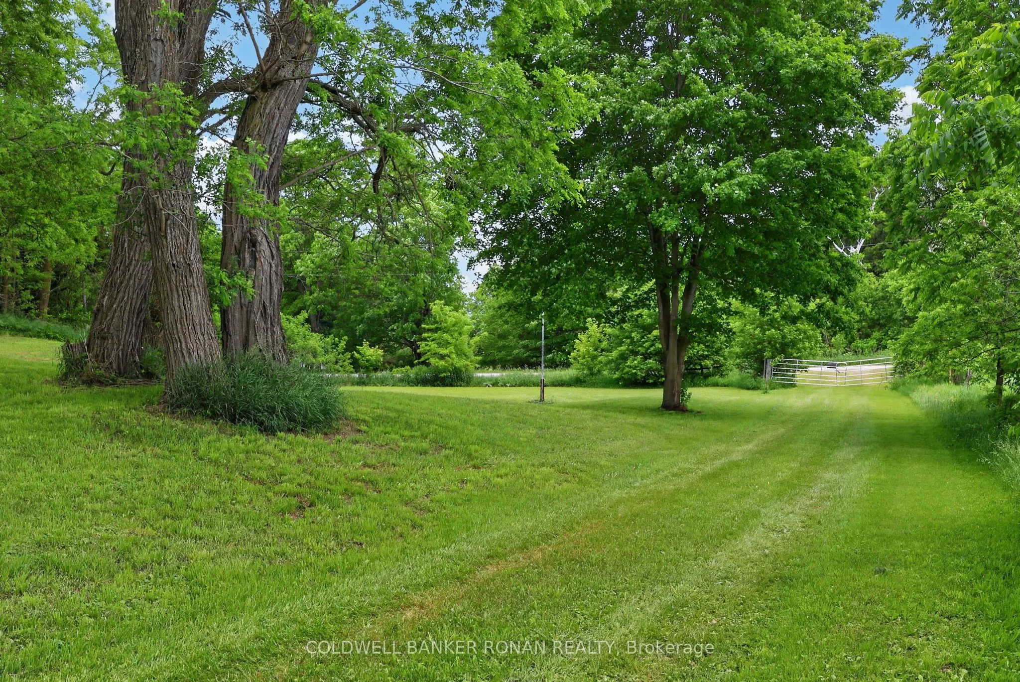 2362 Concession Rd 2