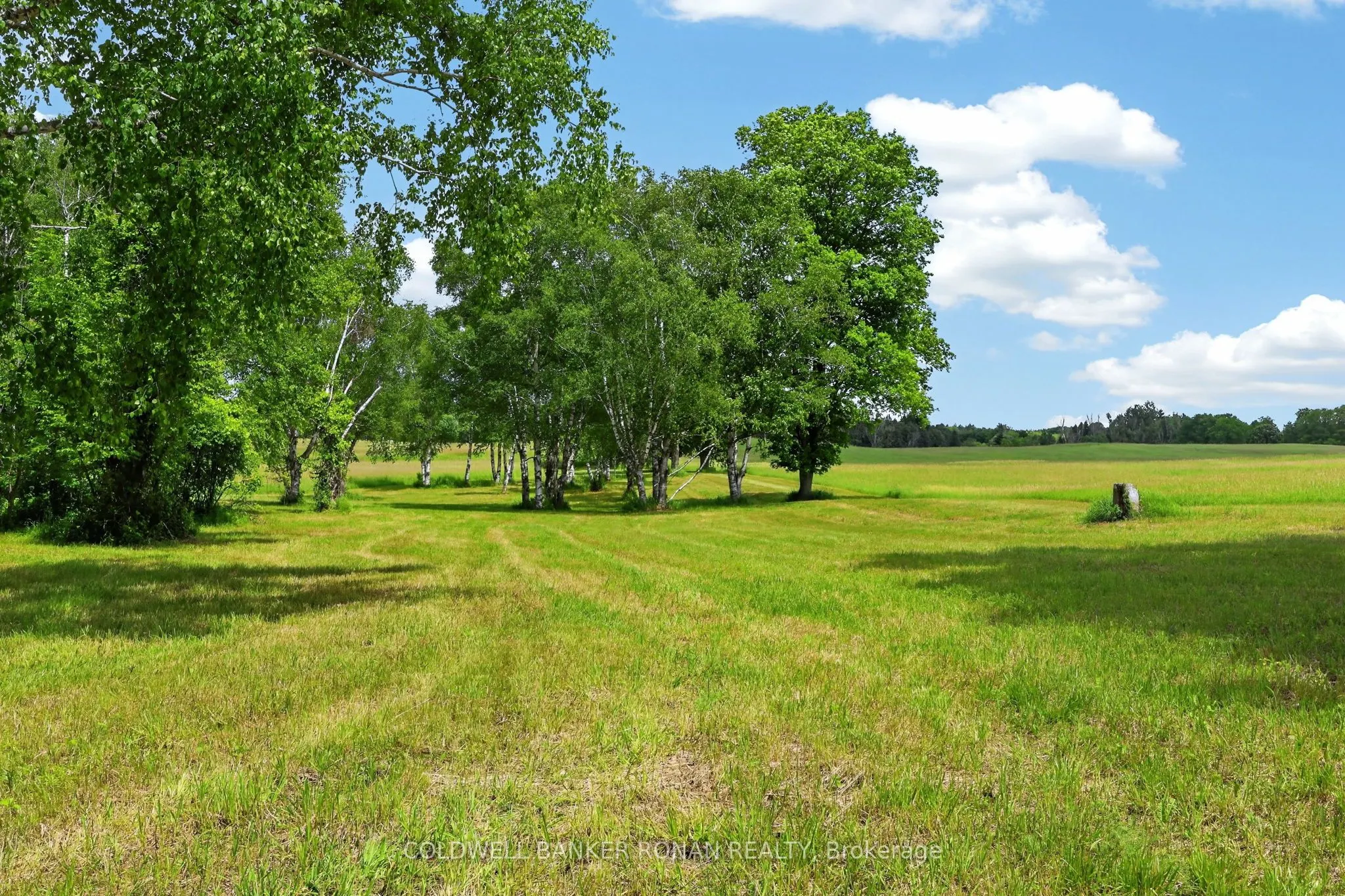 2362 Concession Rd 2