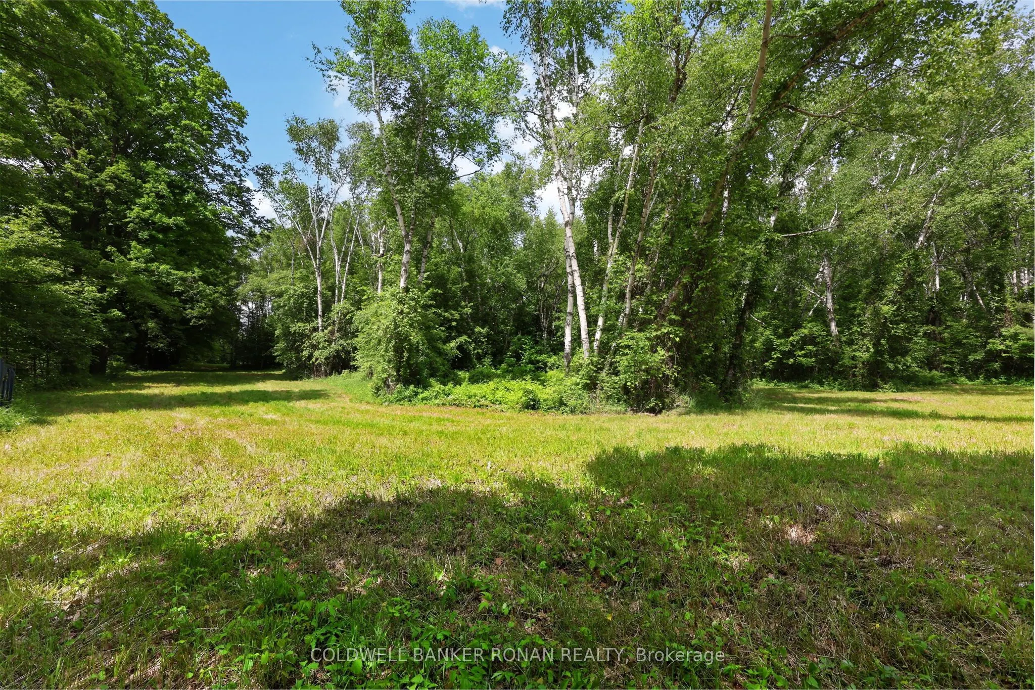 2362 Concession Rd 2