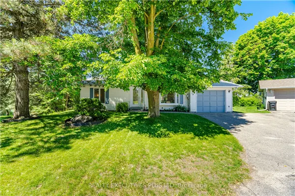 14 Butternut Court