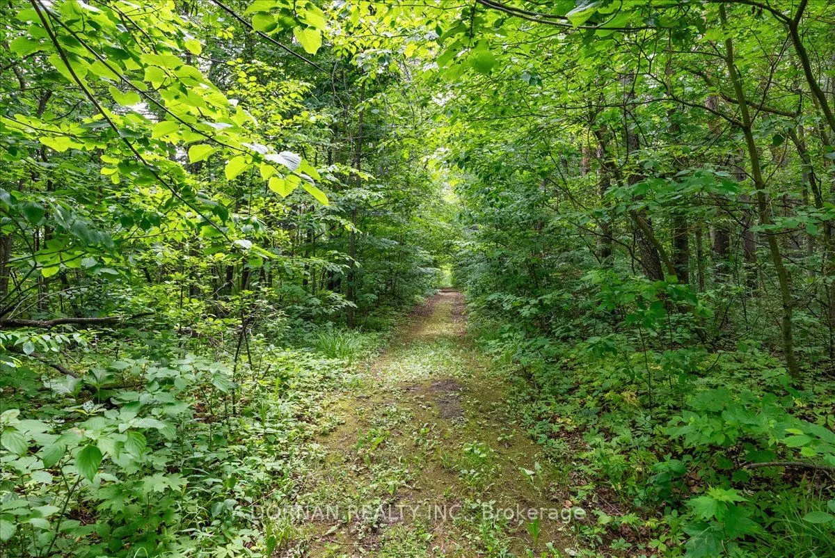 1975 Concession 4 Road