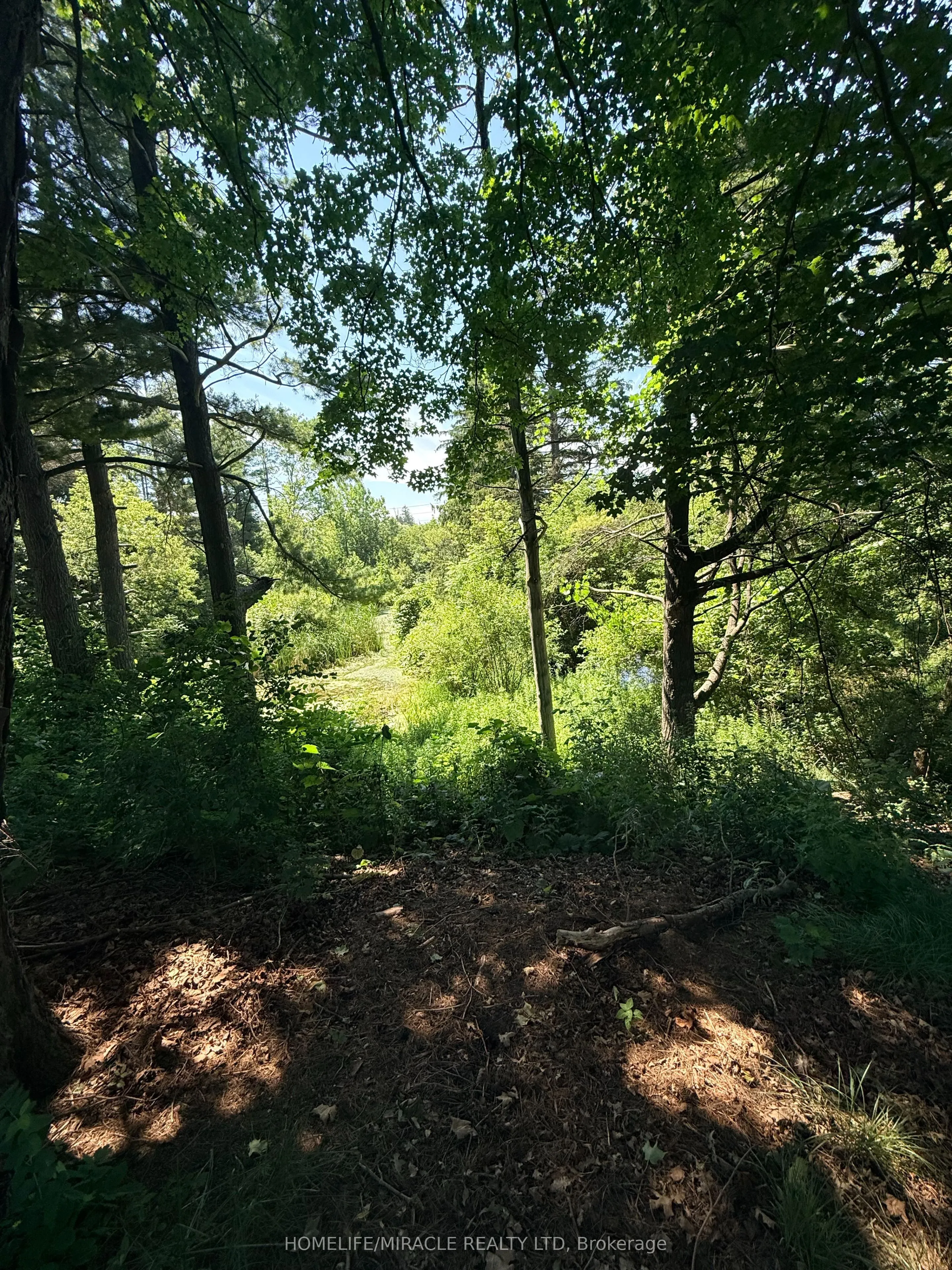 10 Yorkton Boulevard