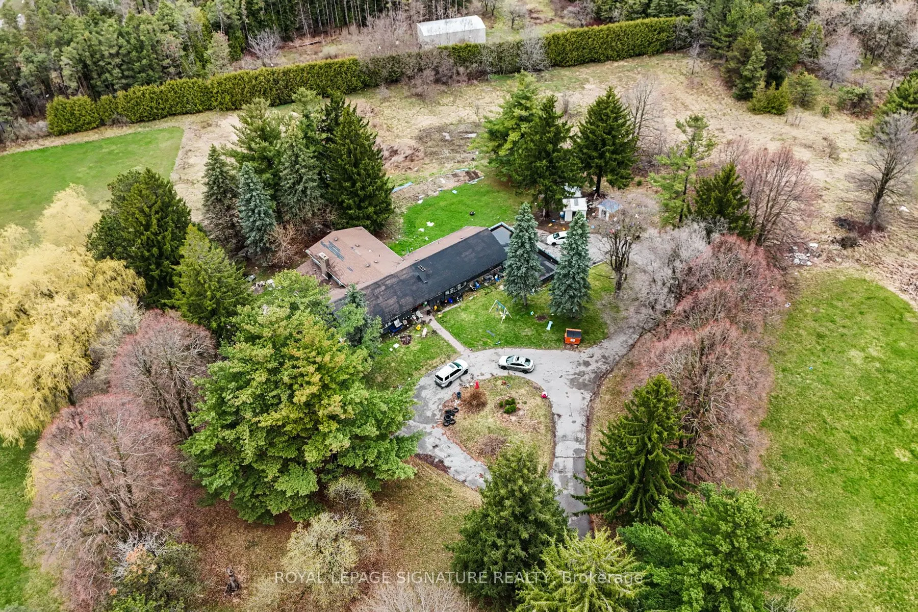 50 Collard Drive