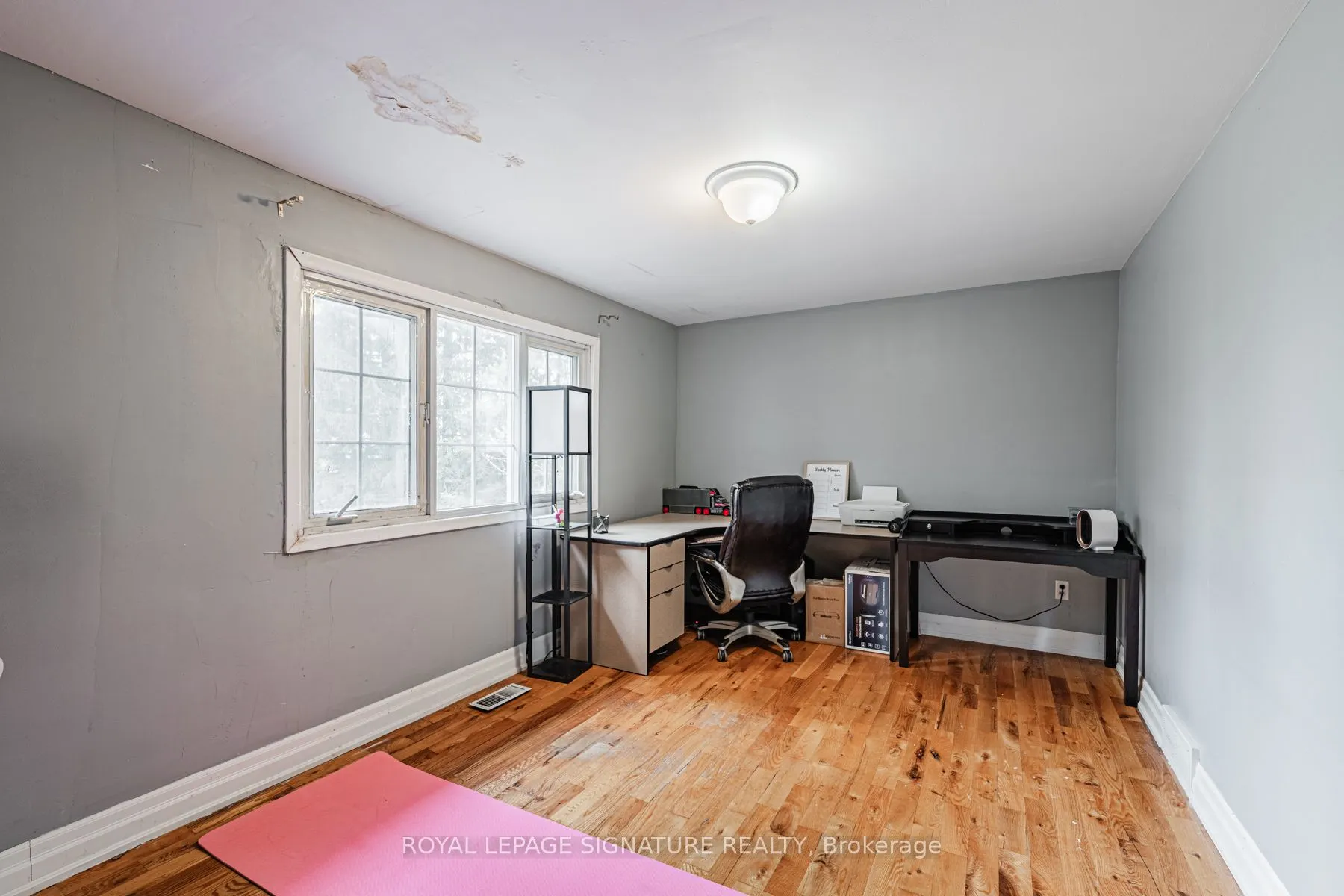 50 Collard Drive