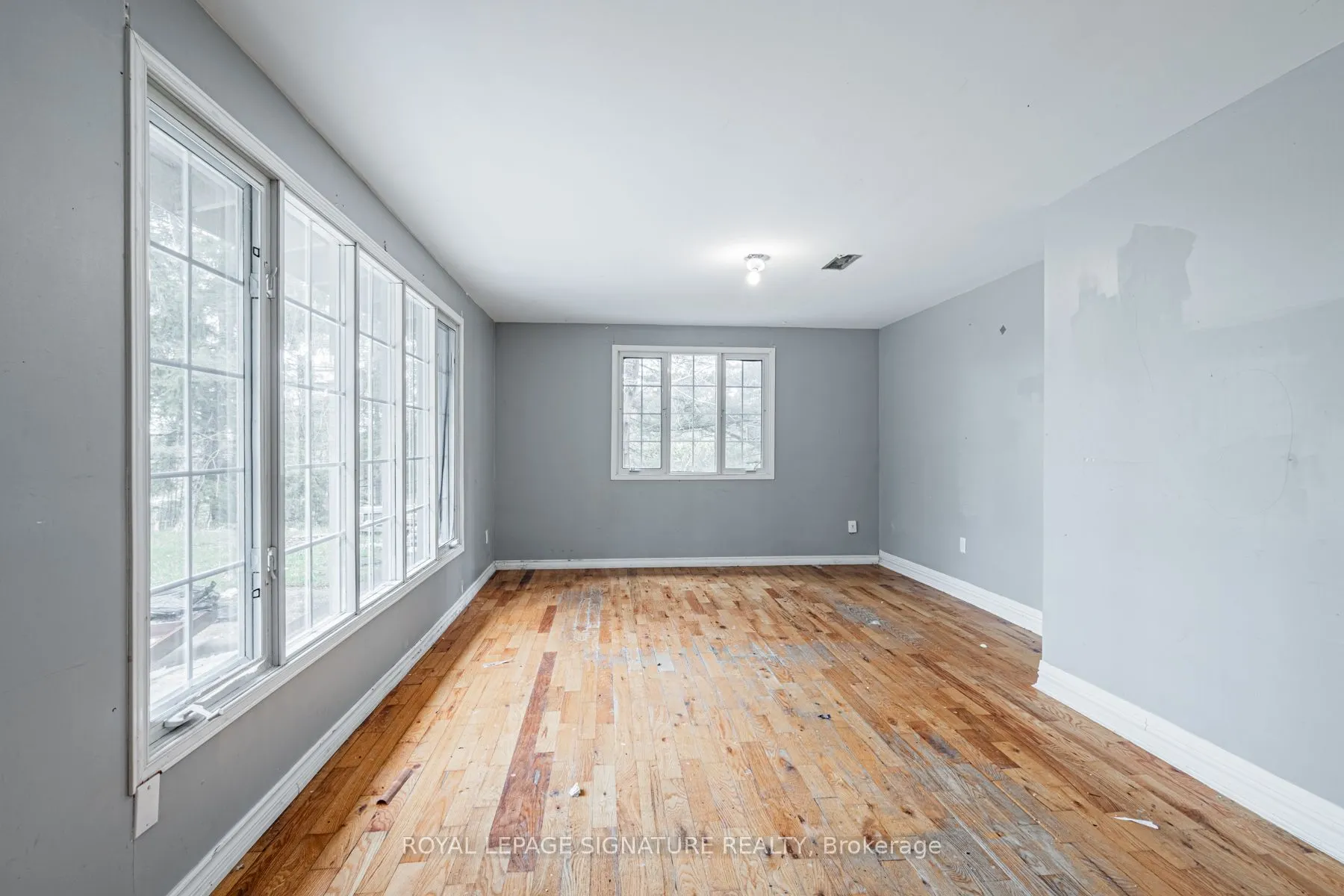 50 Collard Drive