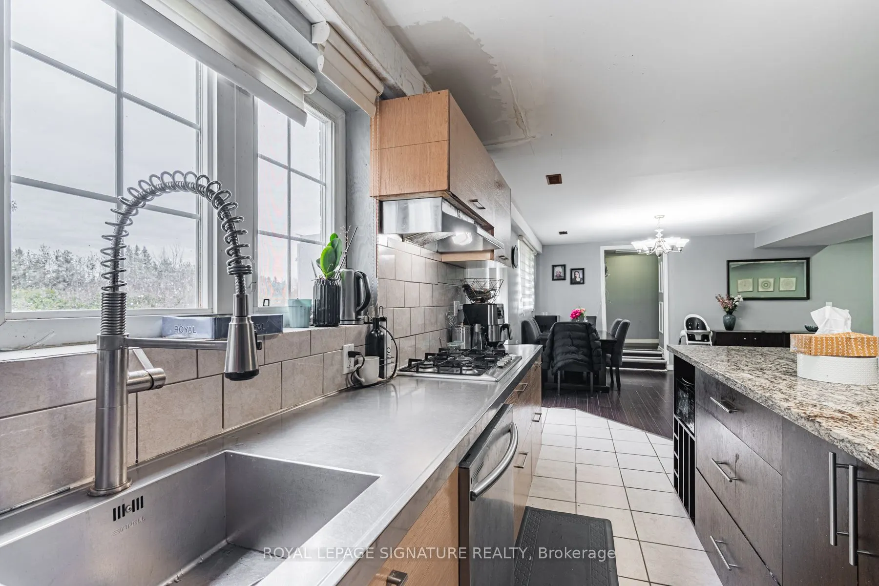 50 Collard Drive