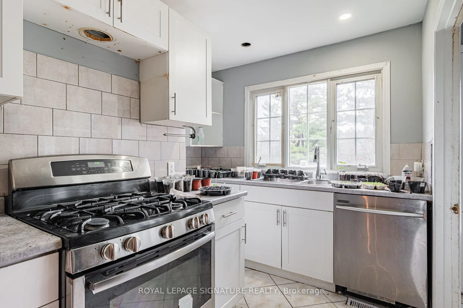 50 Collard Drive