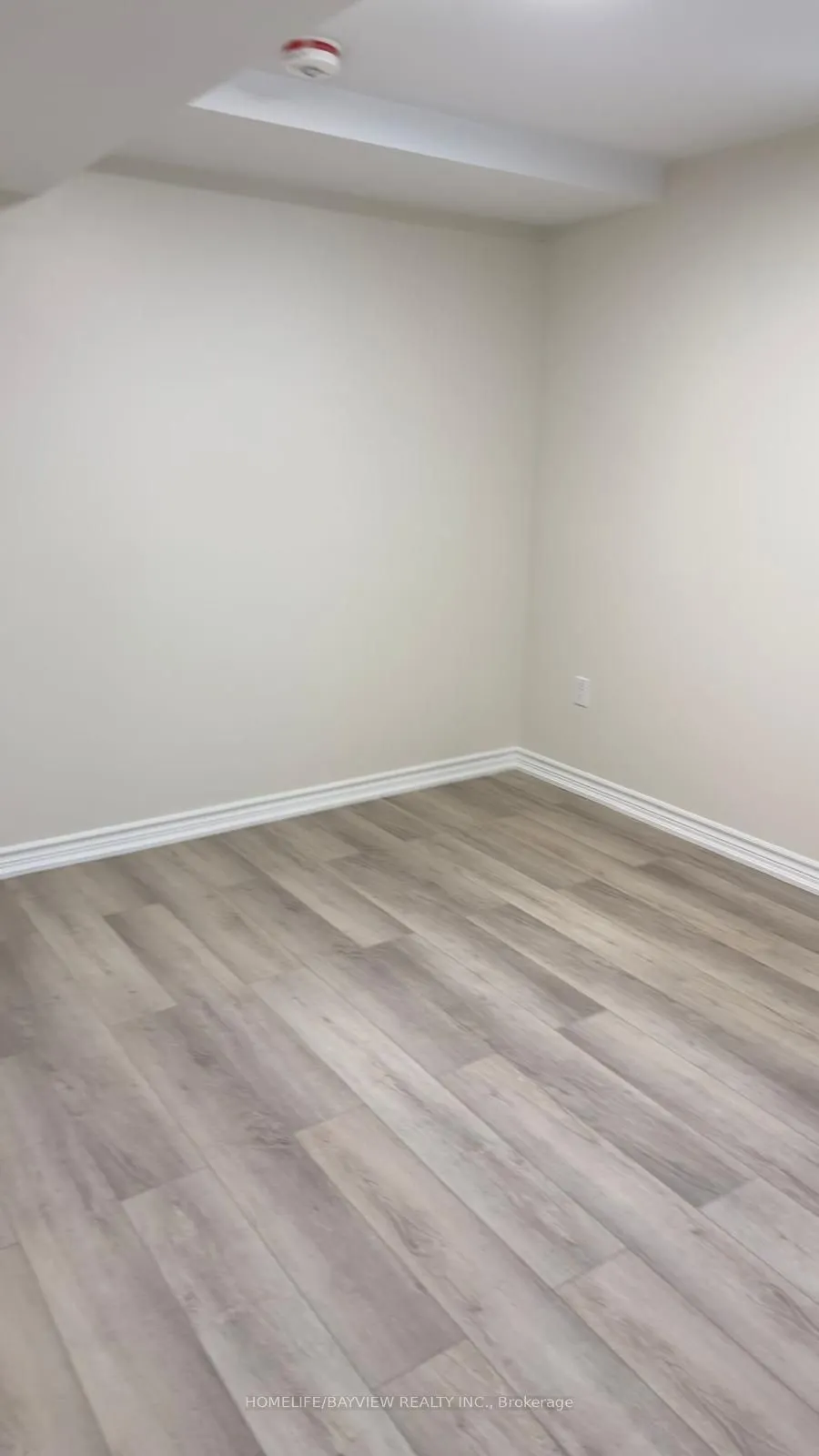 128 Adam Place #Lower unit/Basement