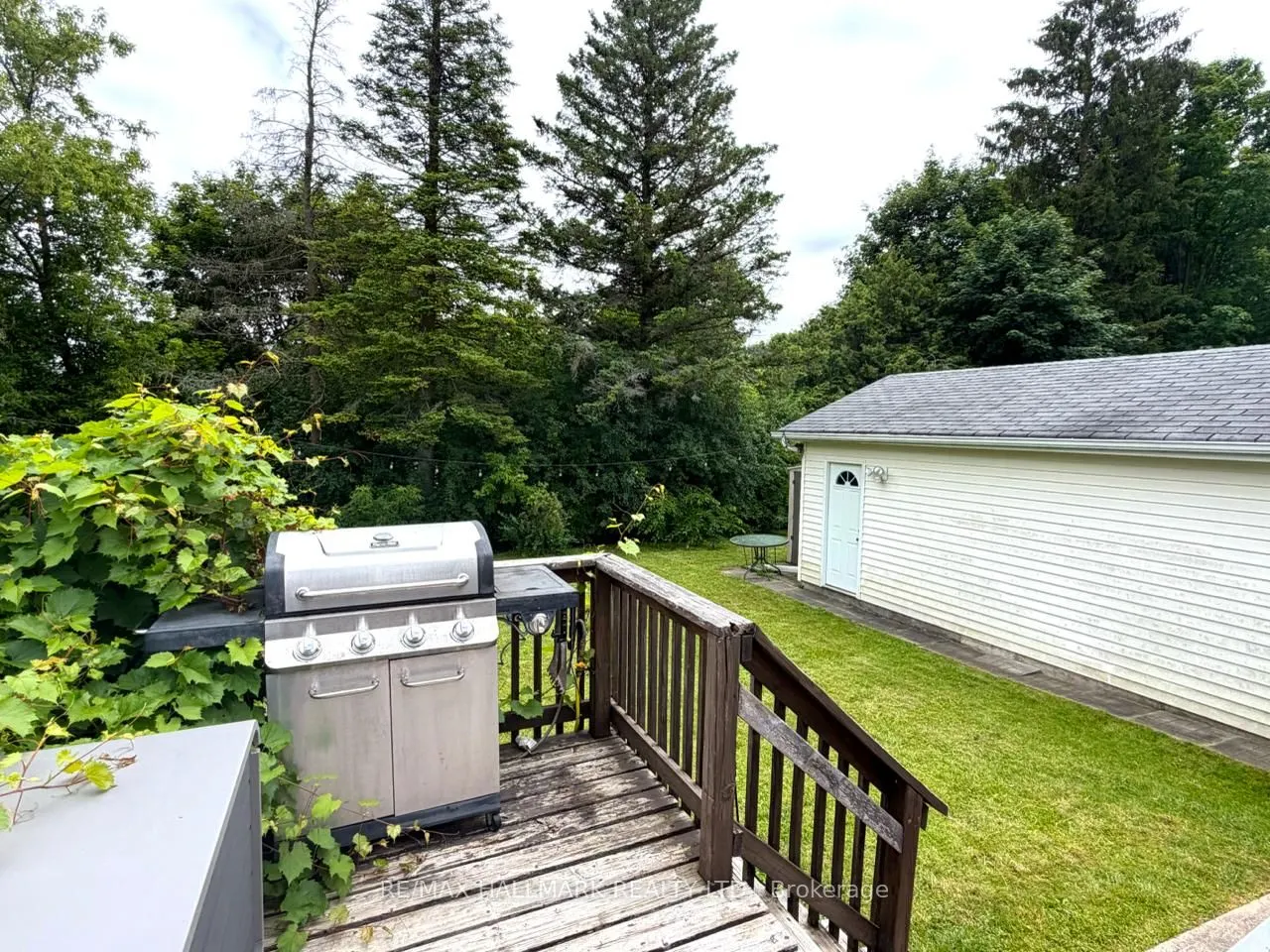 13 Patrick Drive