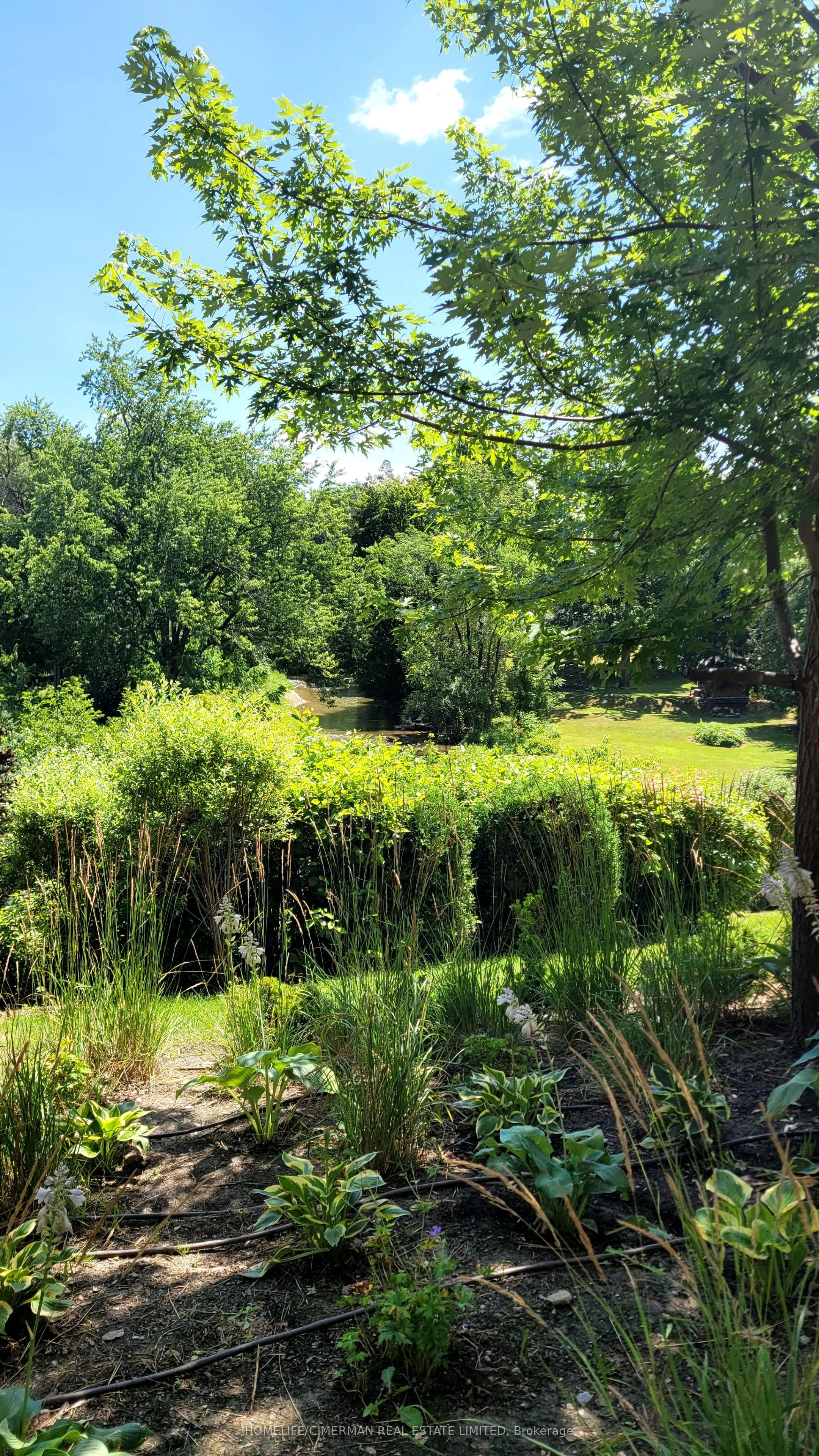 201 Pine Grove Road #405