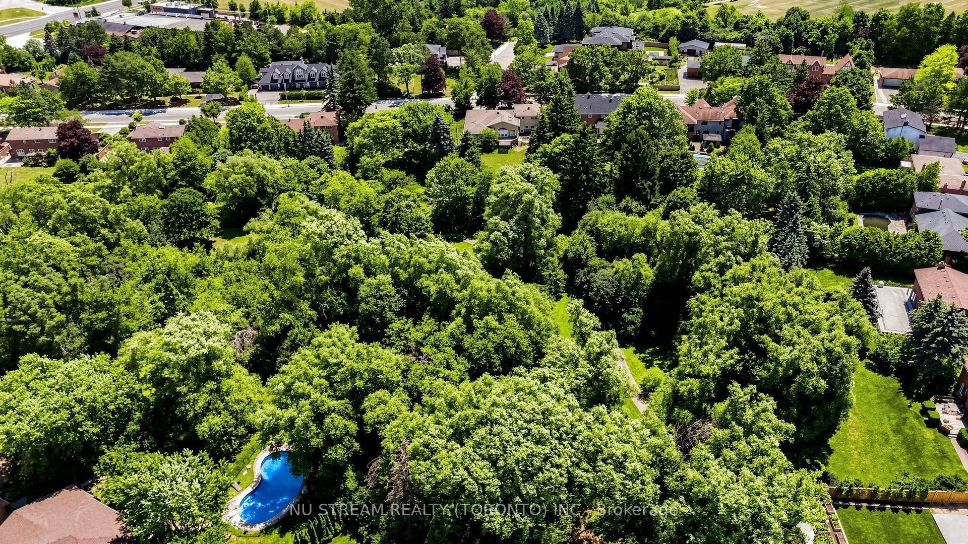20 Blackforest Drive