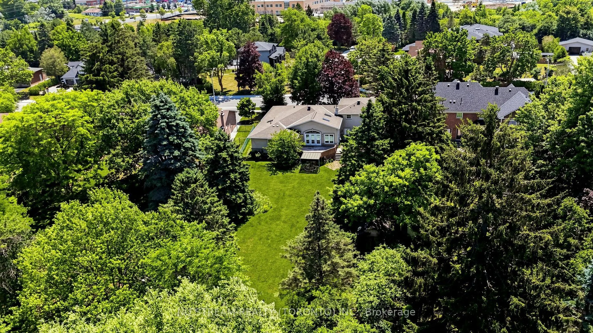 20 Blackforest Drive