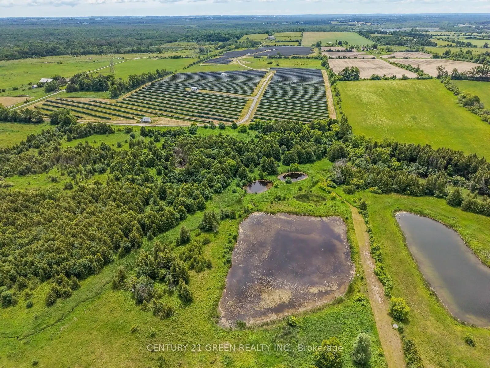 7265 Old Homestead Road