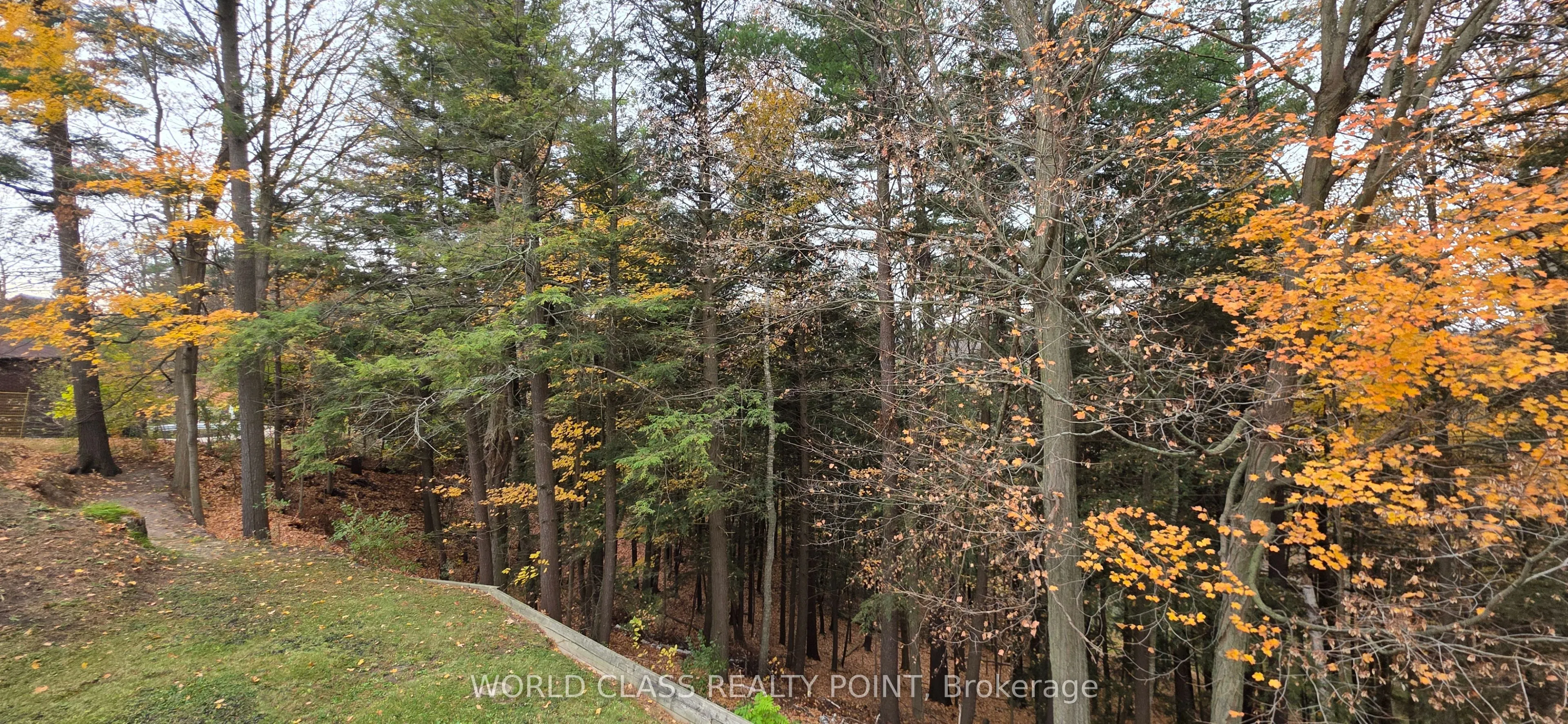 60 Kleins Ridge