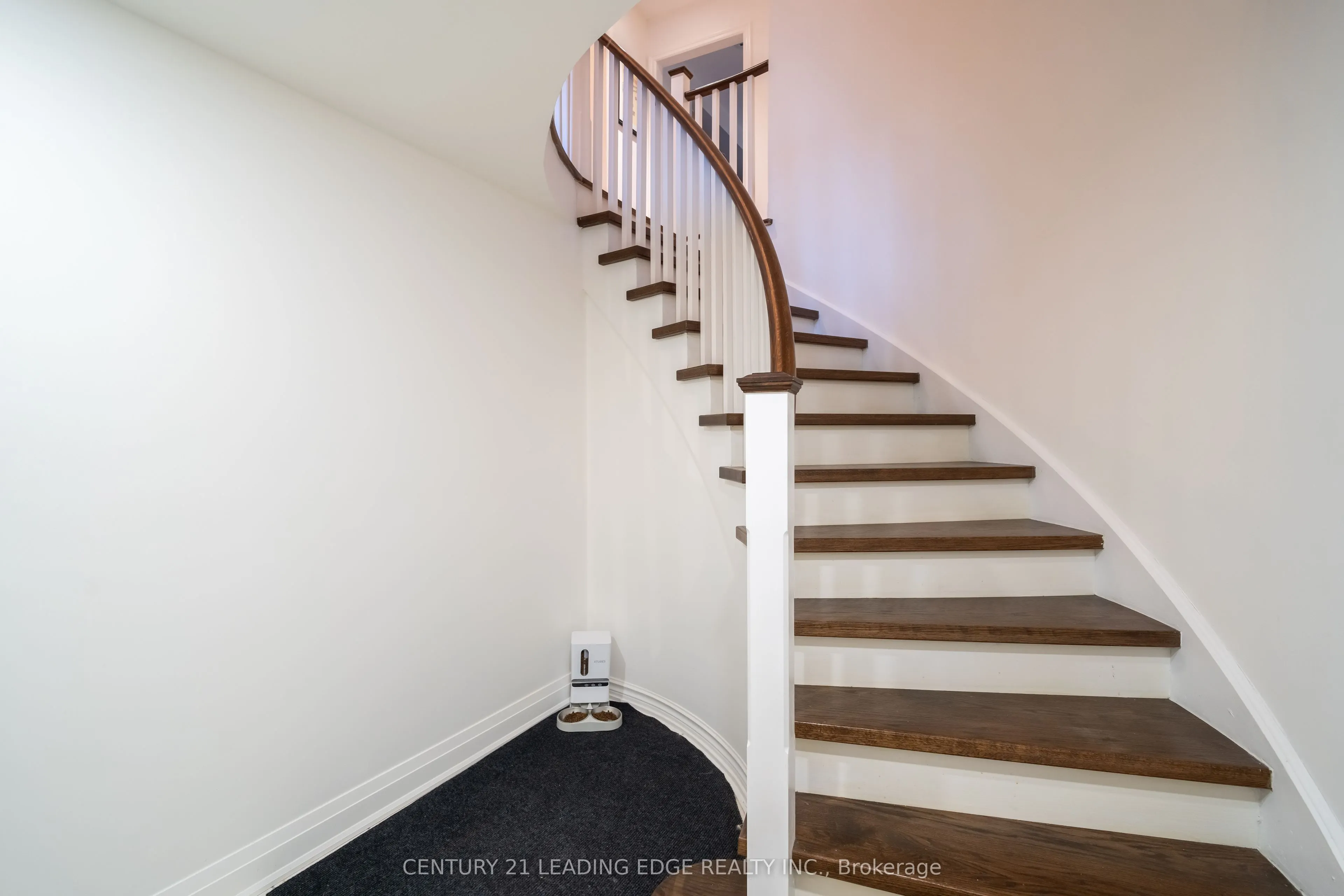 53 McClenny Drive