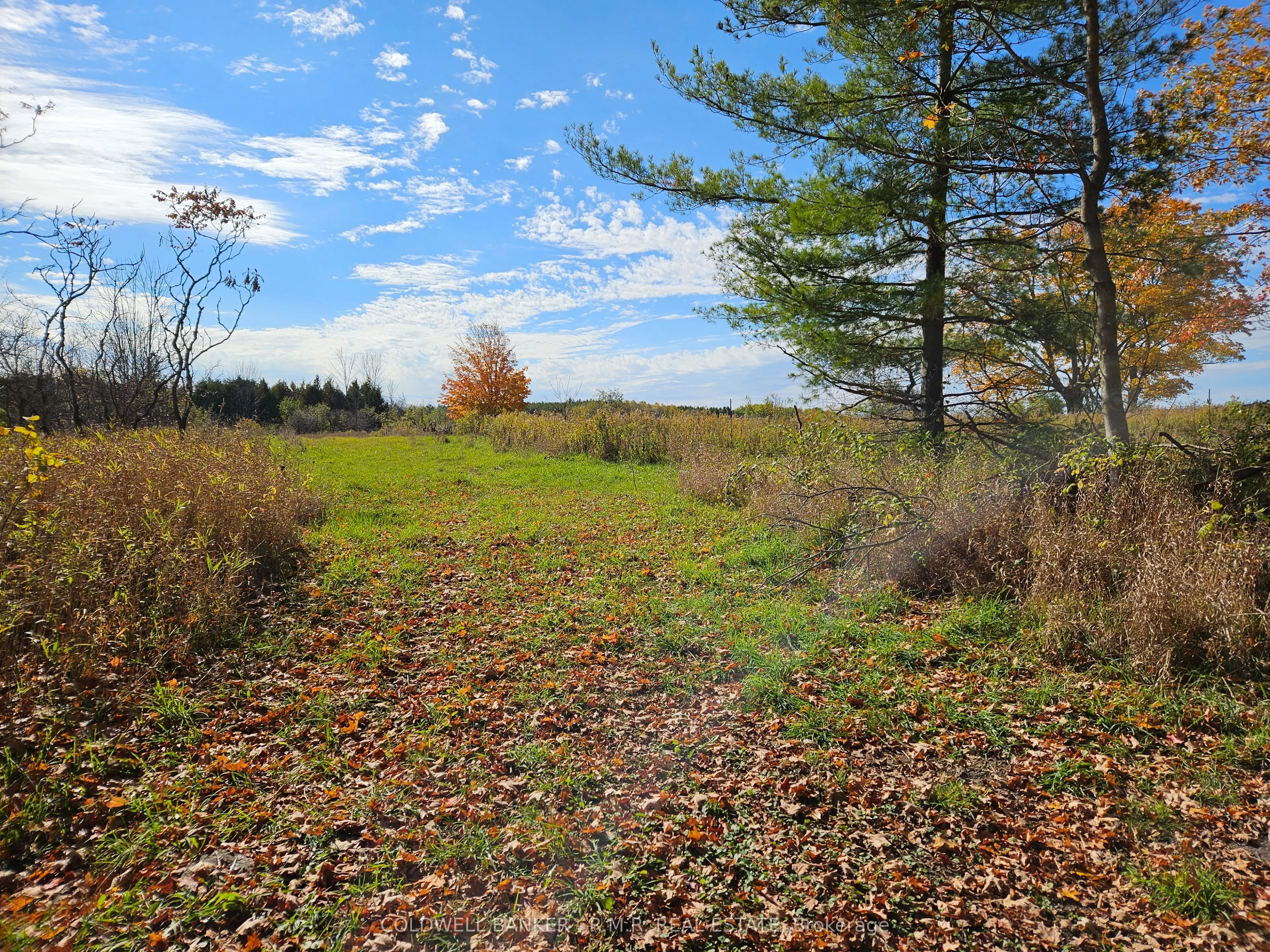 10400 and 10800 Concession 6 Road