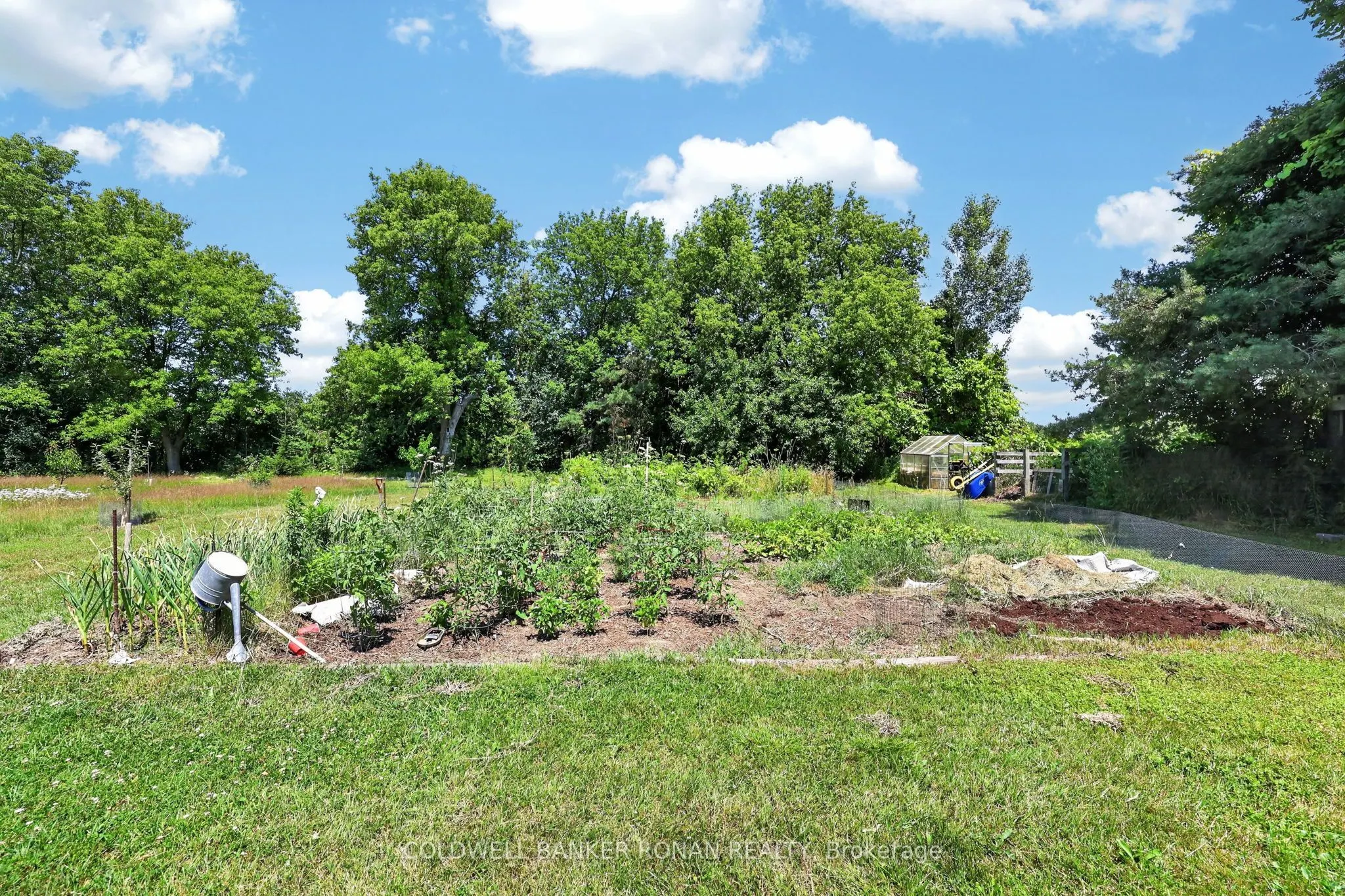 4087 Concession Rd 5
