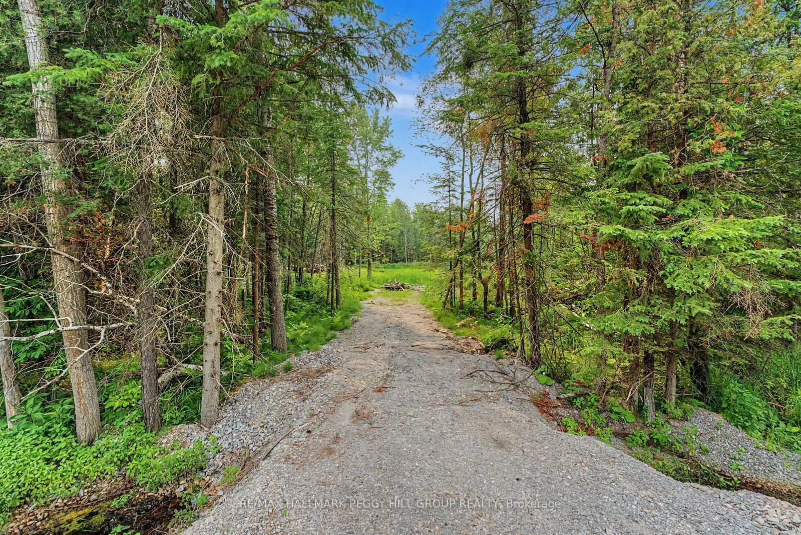 6905 County Road 21
