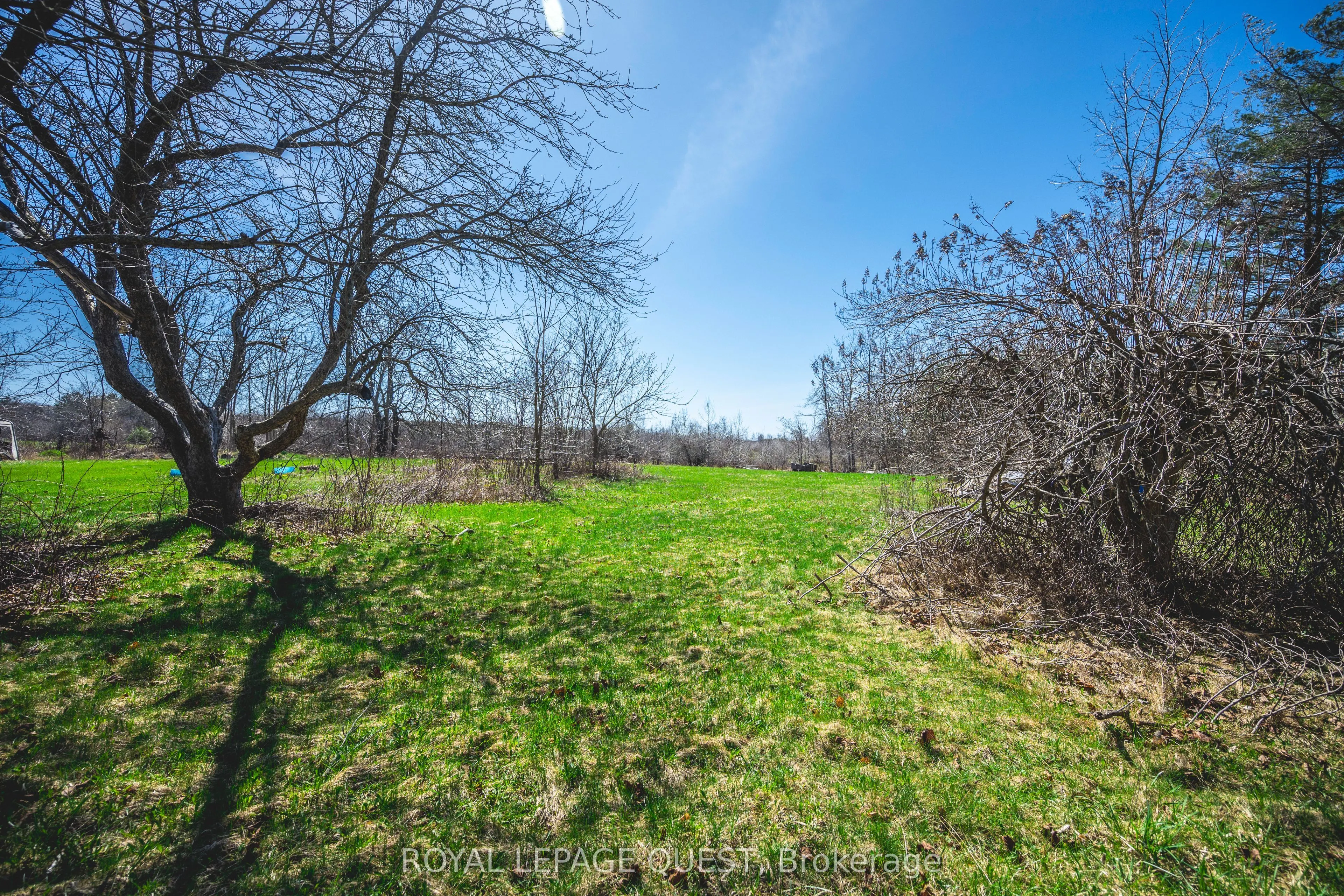 1860 B Thorah Concession 11