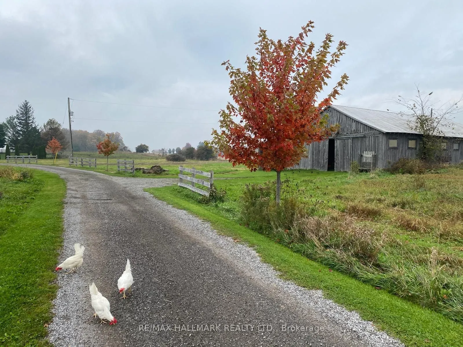 1900 Concession 4 Road