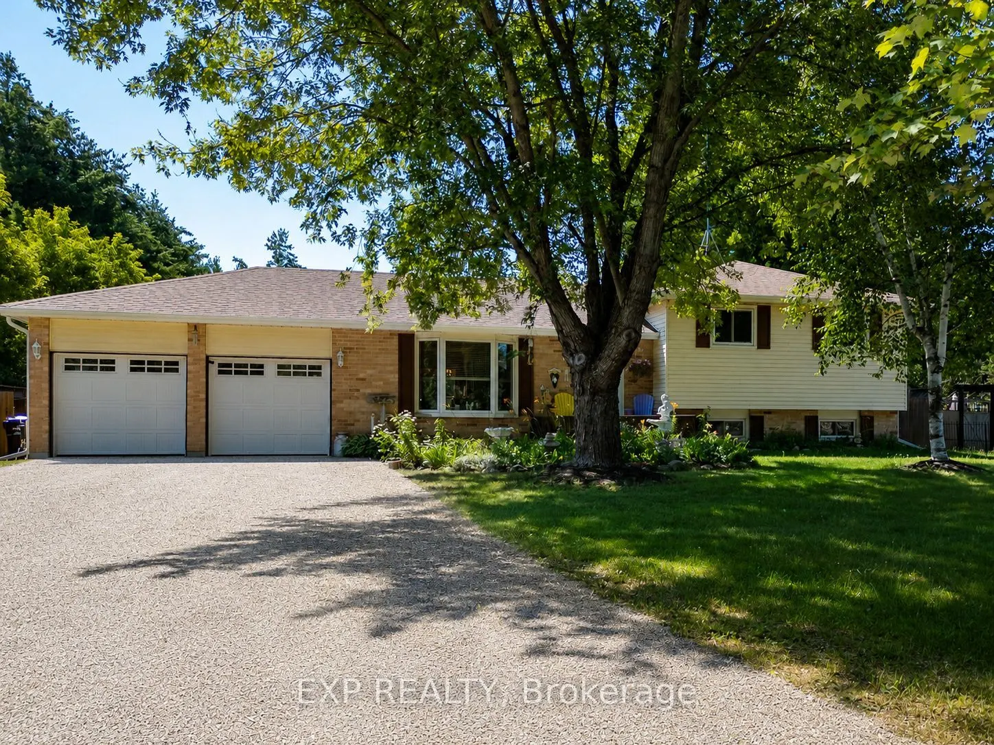8245 Main Street