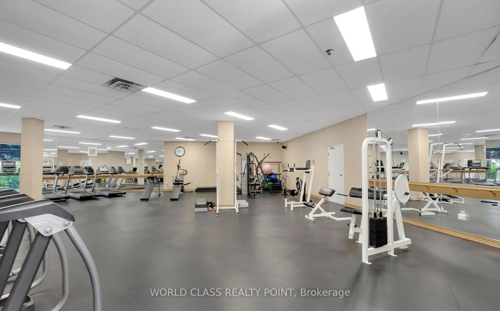 40 Harding Boulevard #201