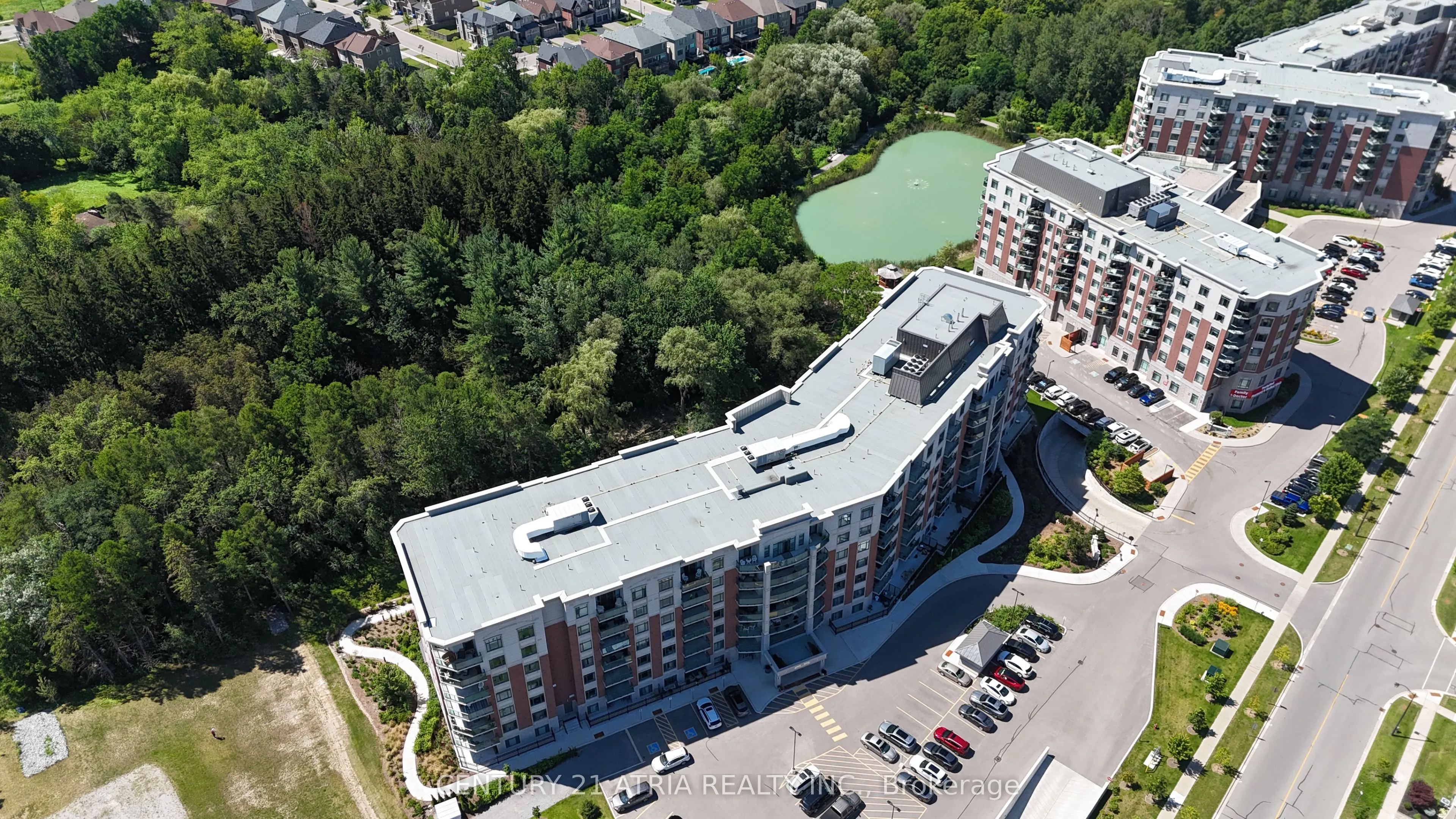460 William Graham Drive #306