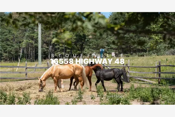 16558 Highway 48