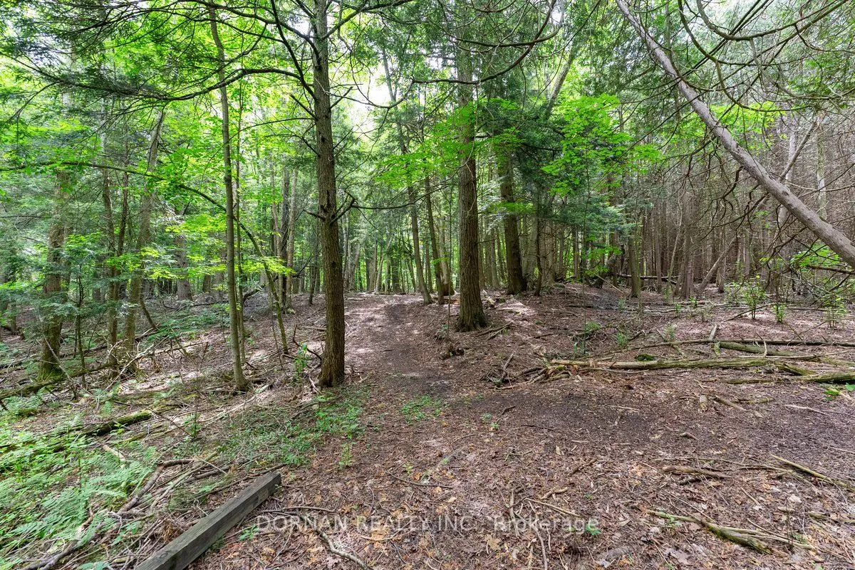 1975 Concession 4 Road