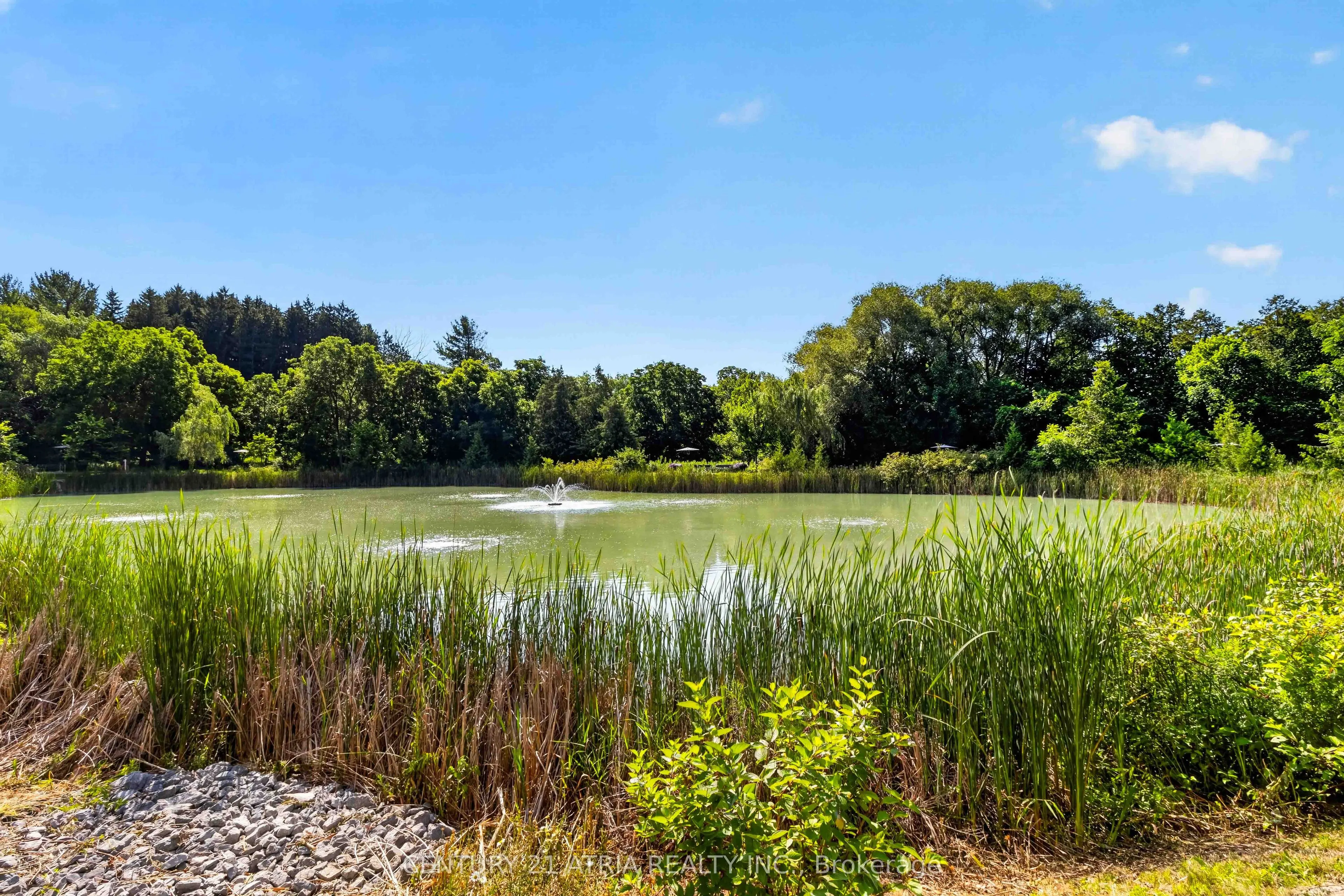 460 William Graham Drive #317