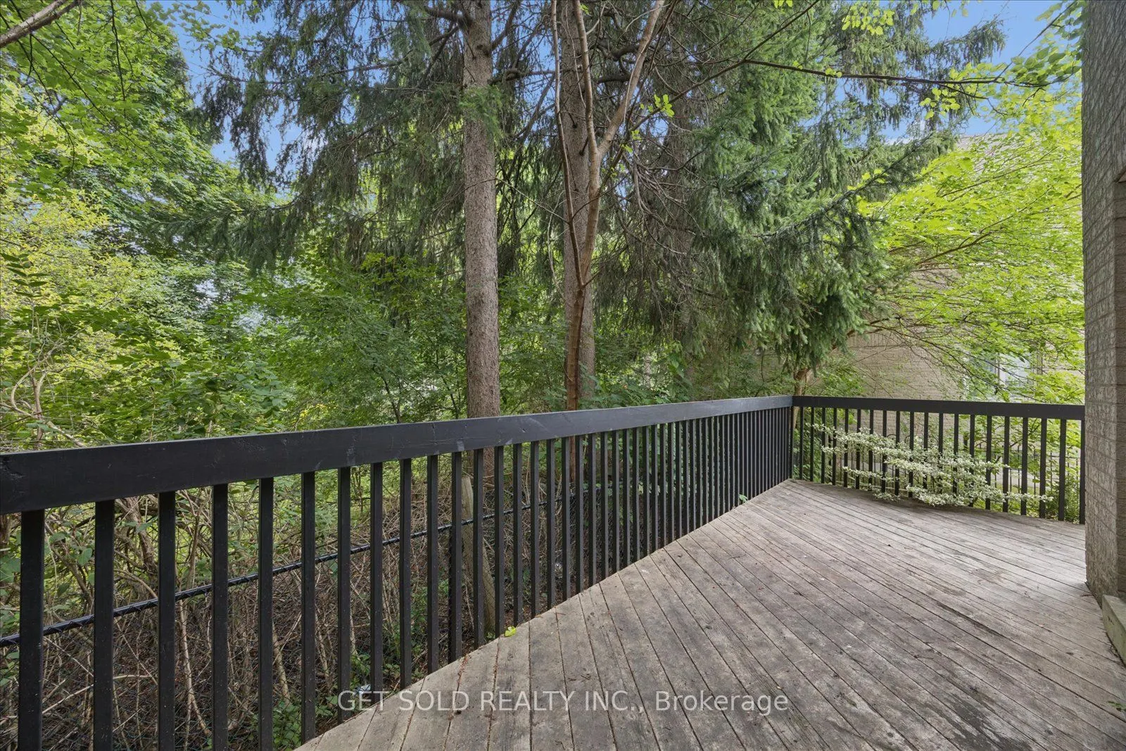 49 Pearson Avenue