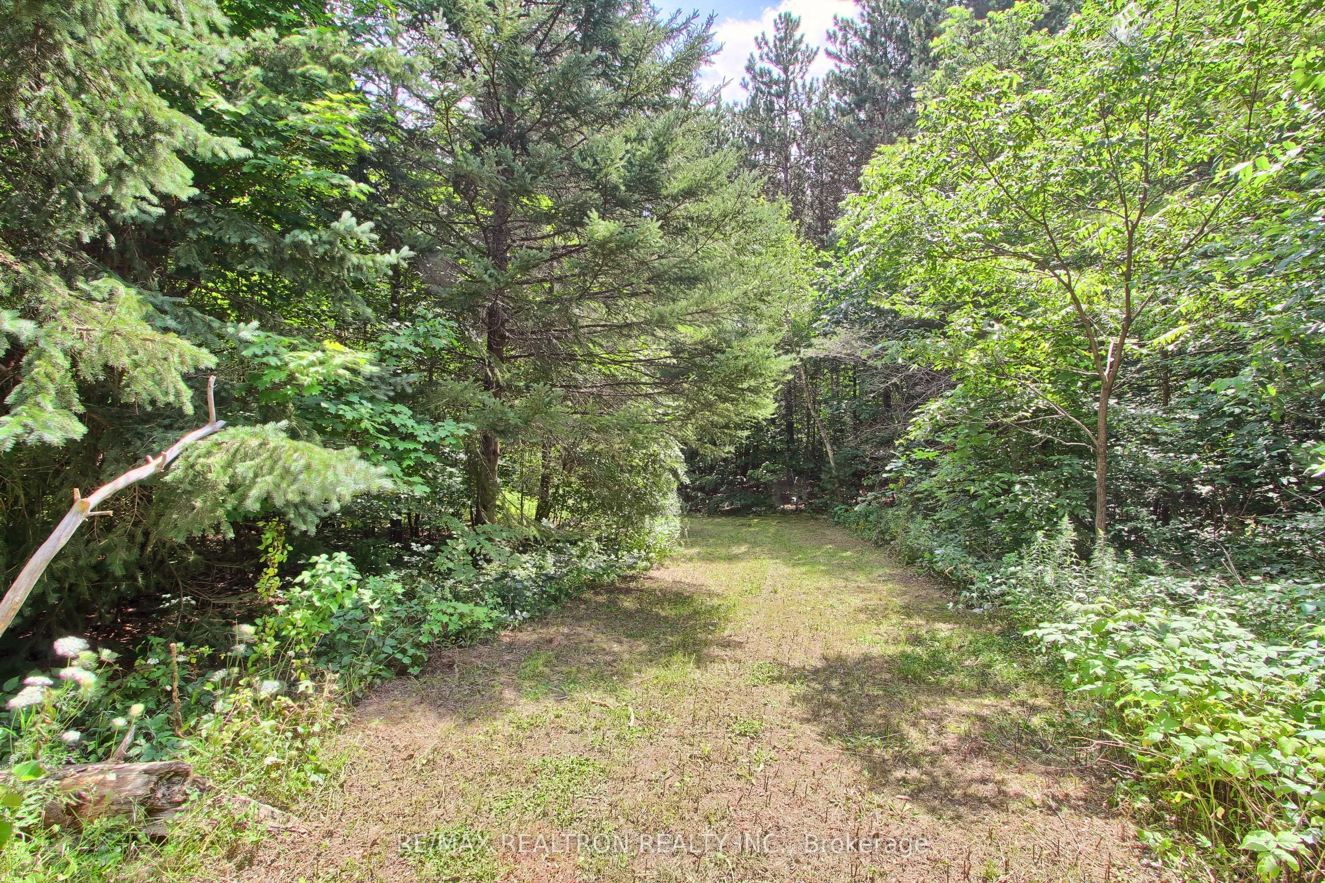 3433 Mount Albert Road