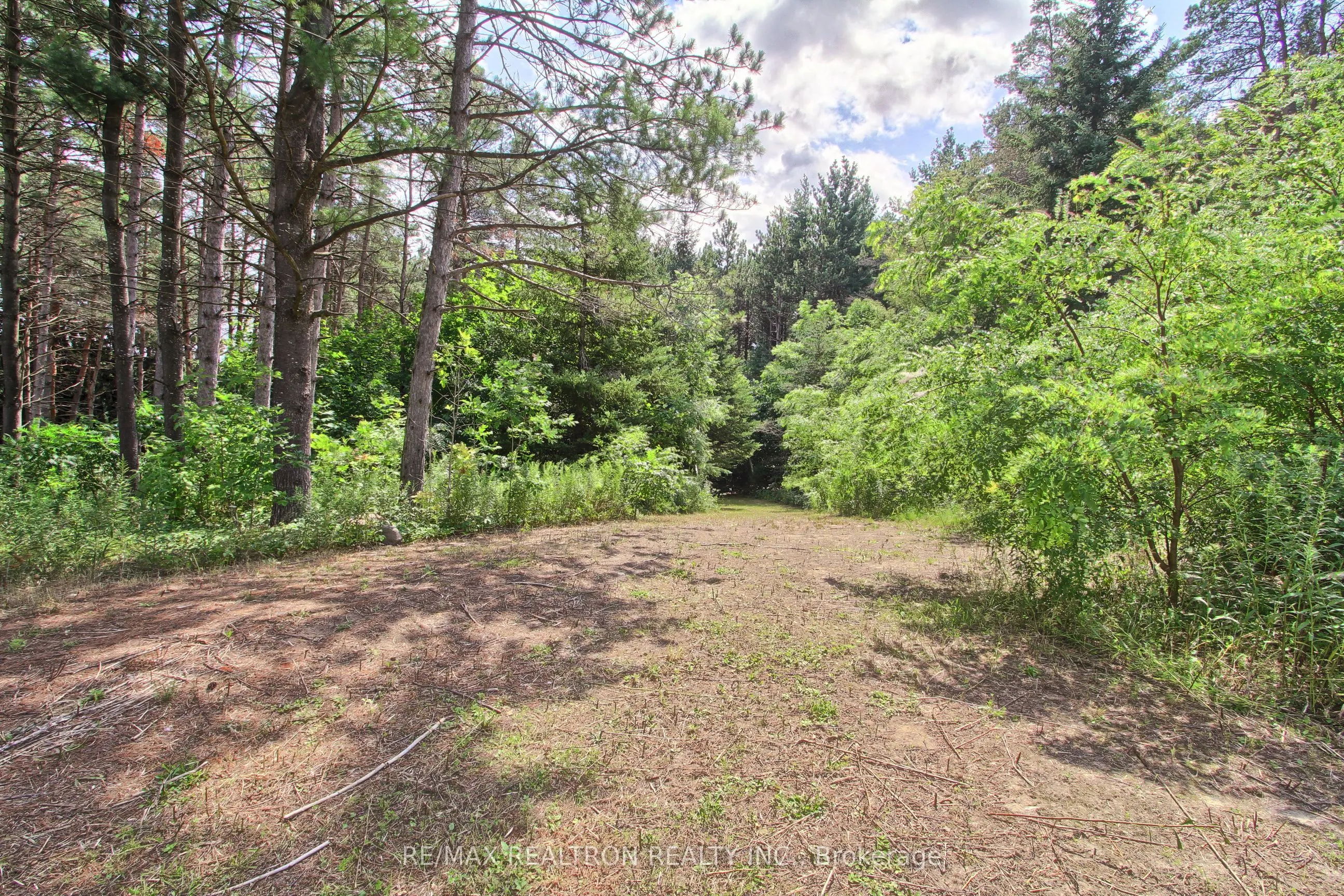 3433 Mount Albert Road