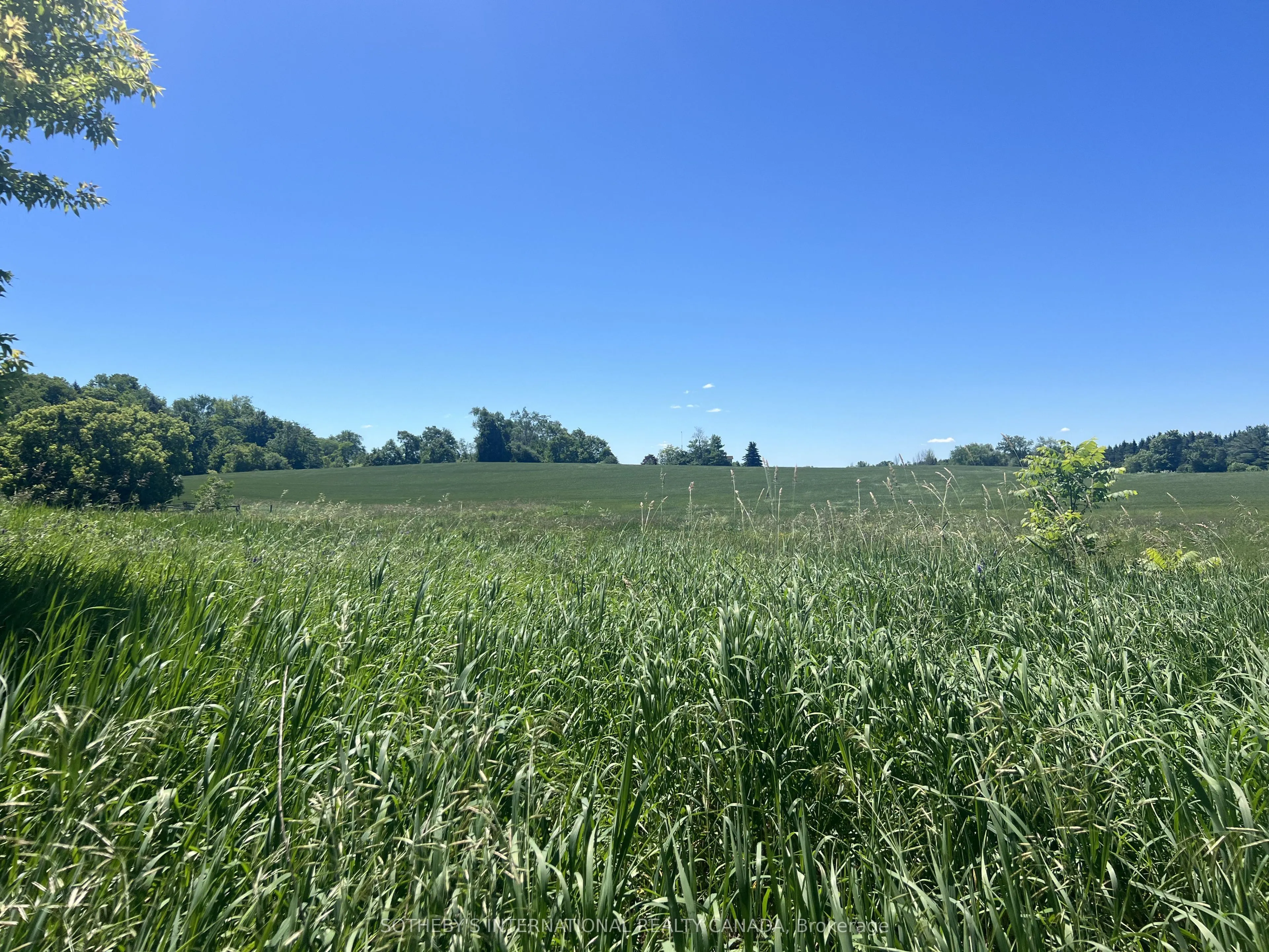 8185 17th Side Road
