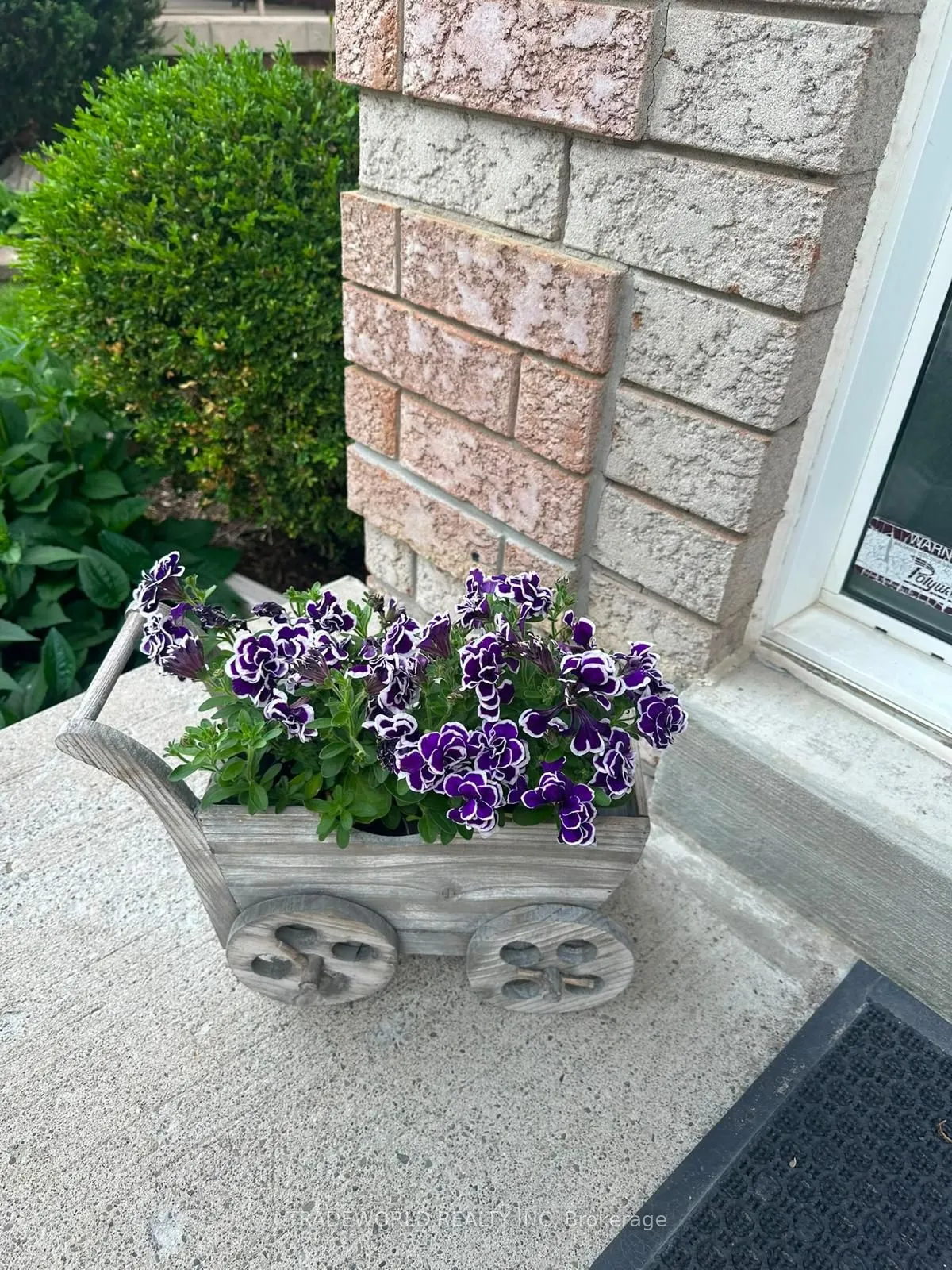 16 Chessman Court