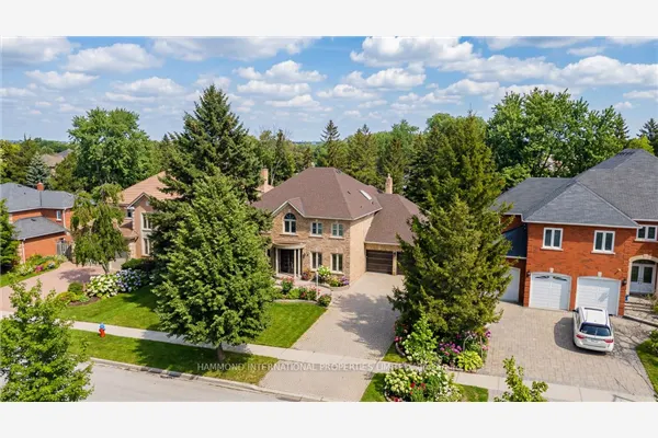 31 Vesta Drive