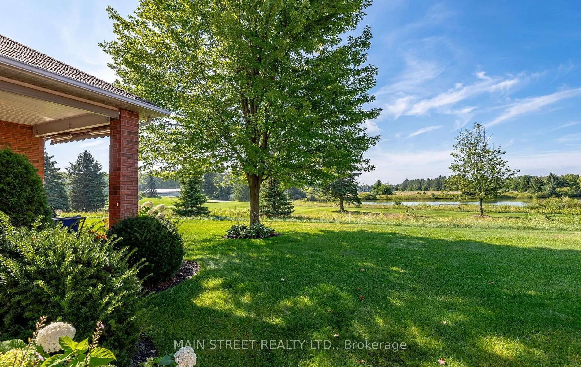 54 Couples Gallery