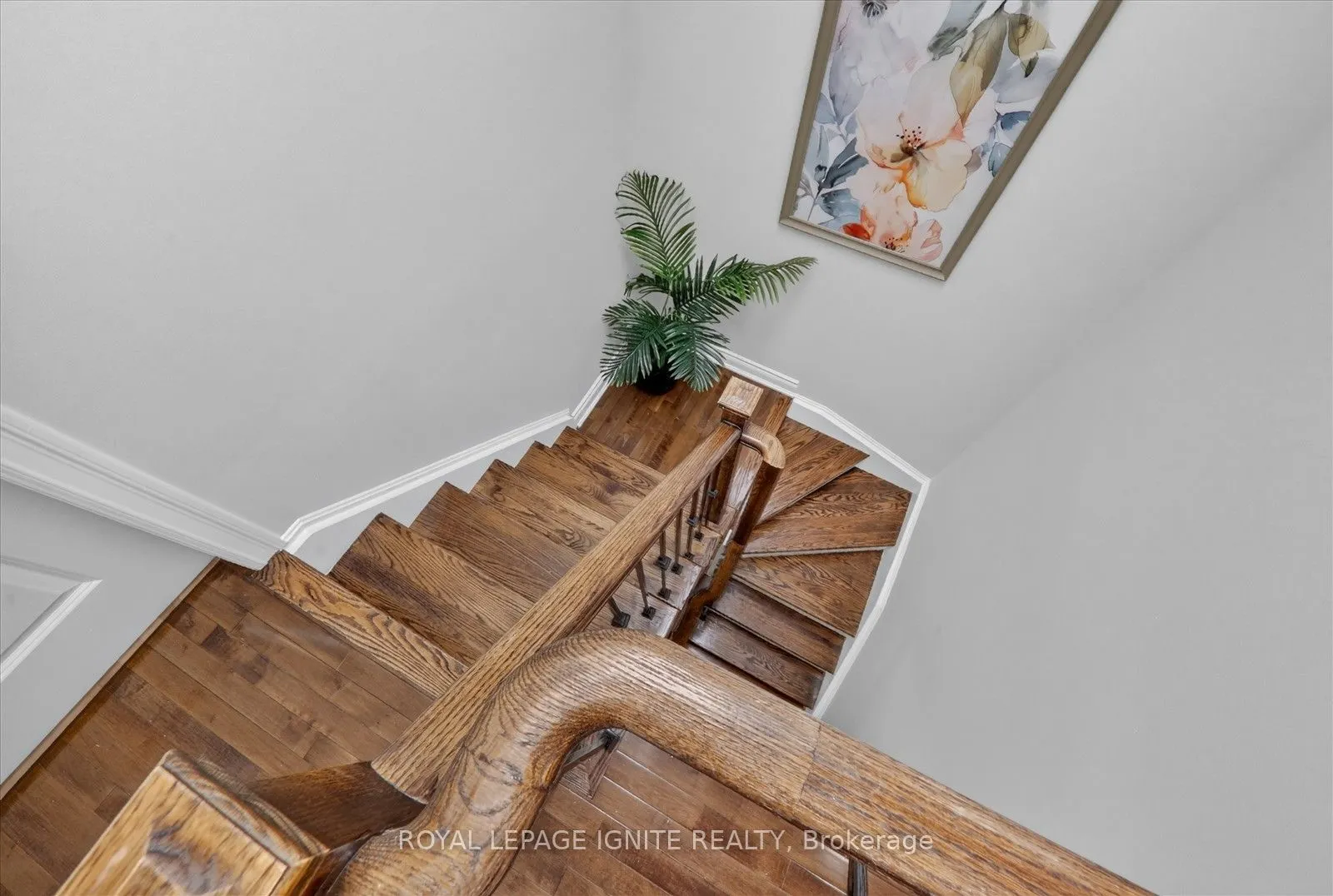 8032 Kipling Avenue #9