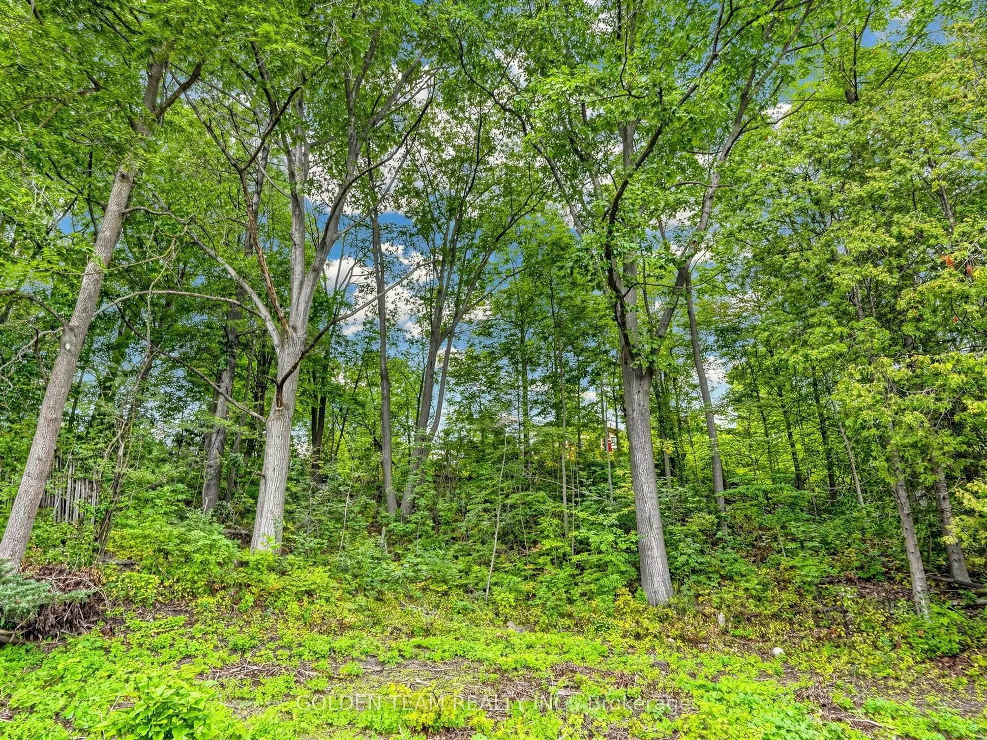 242 Ridge Road
