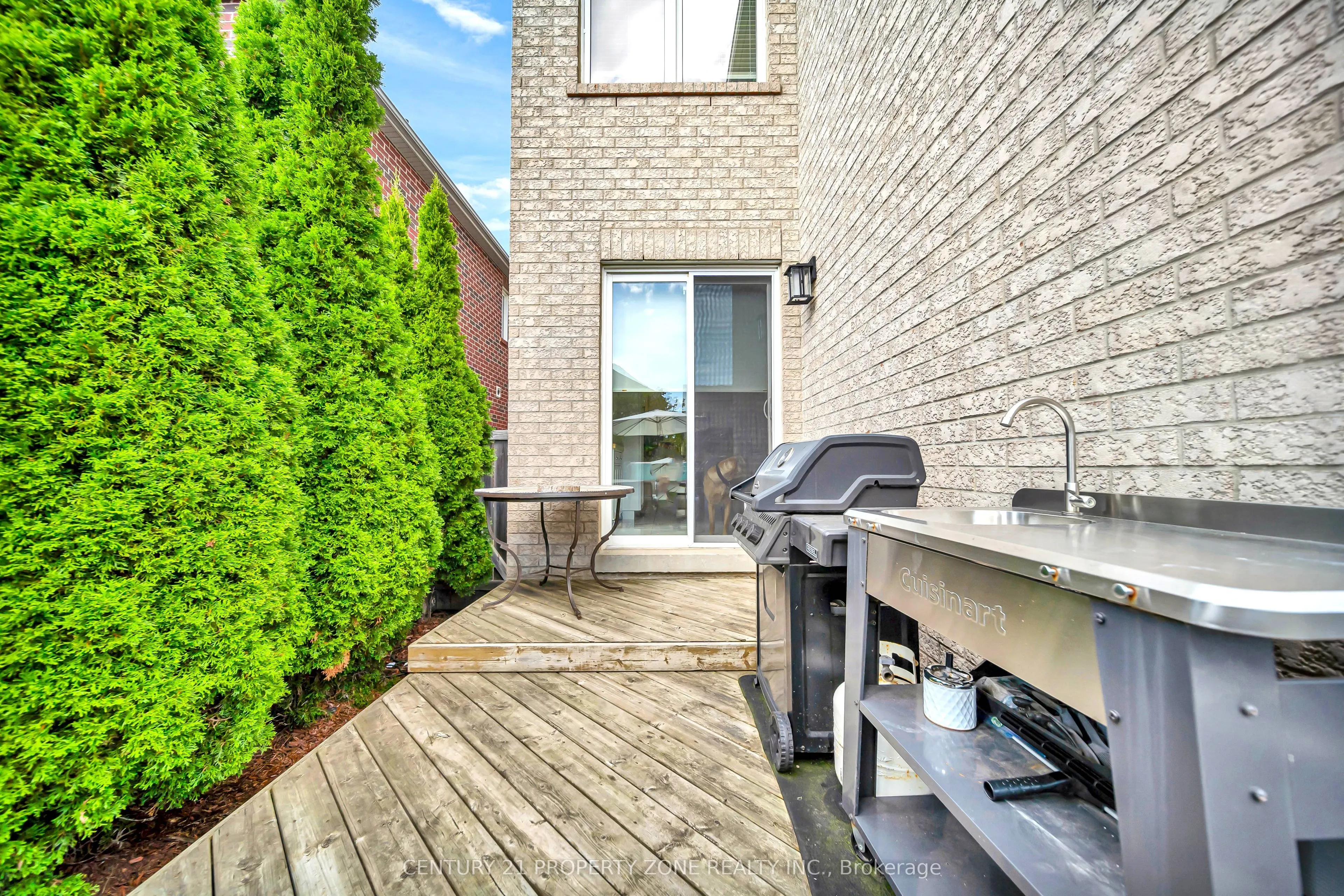 169 Downy Emerald Drive