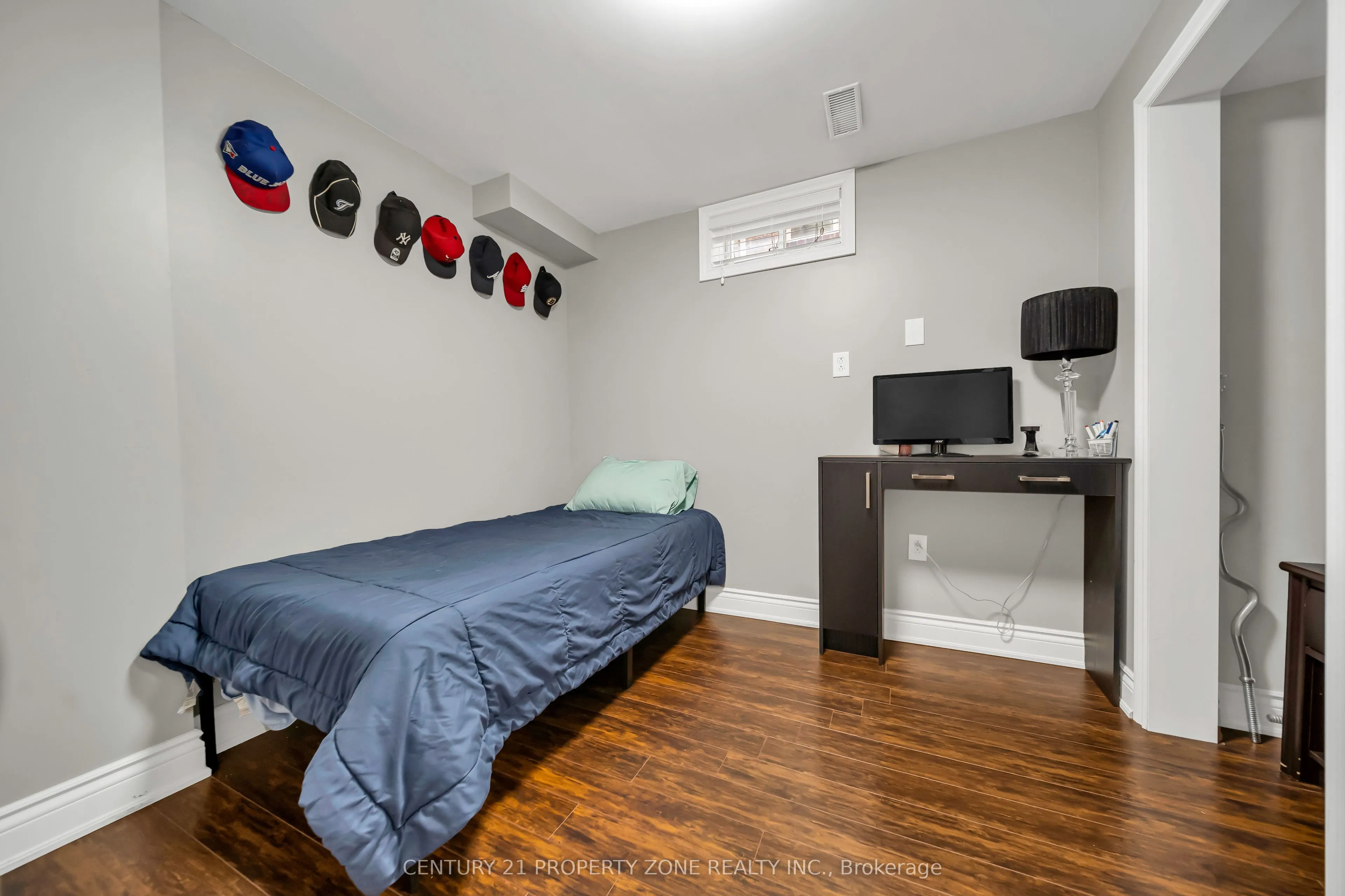 169 Downy Emerald Drive